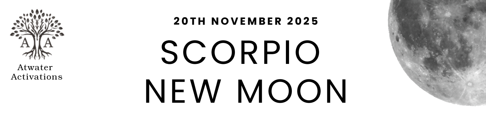 Screen Shot 2025-11-18 at 6.24.29 PM.png