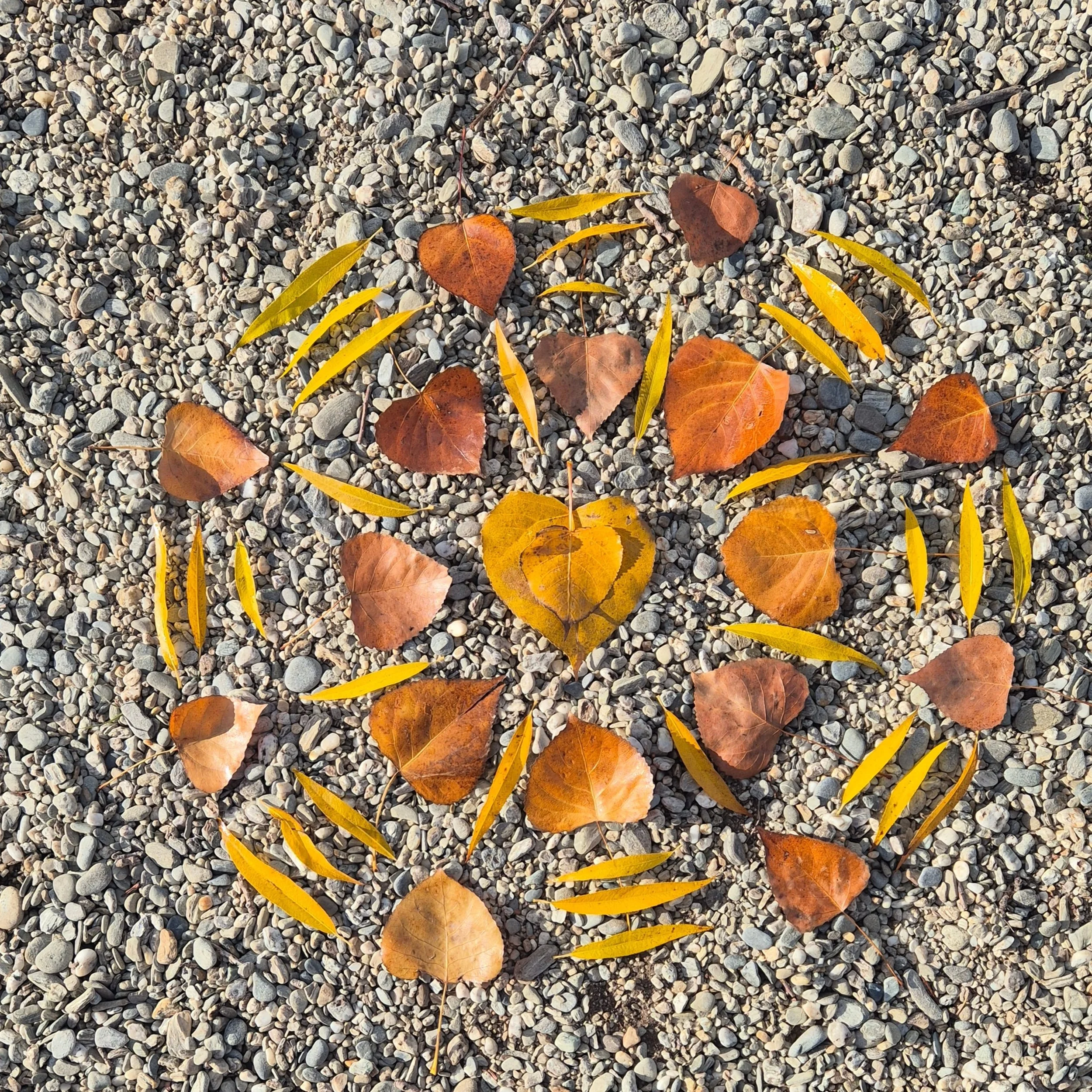 These days, every season is my favourite season! Savoring the final few days of Autumn this weekend 🍁🍂