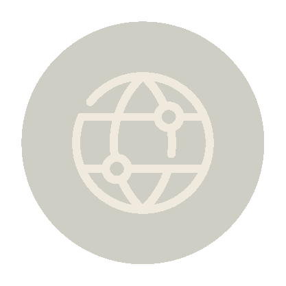 Icon of a globe with latitude and longitude lines inside a circle