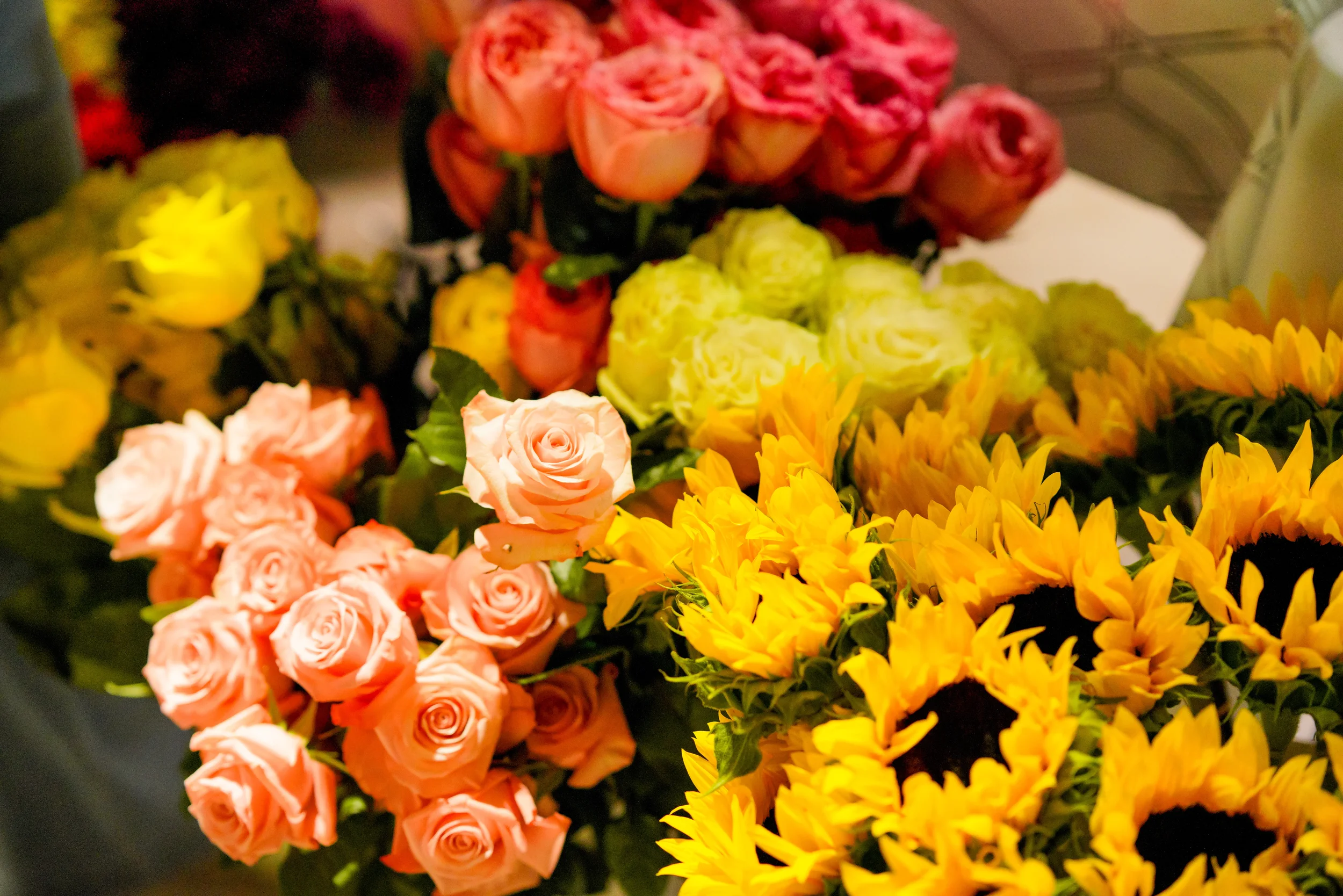 Viva_LatinMarketFest-84.webp