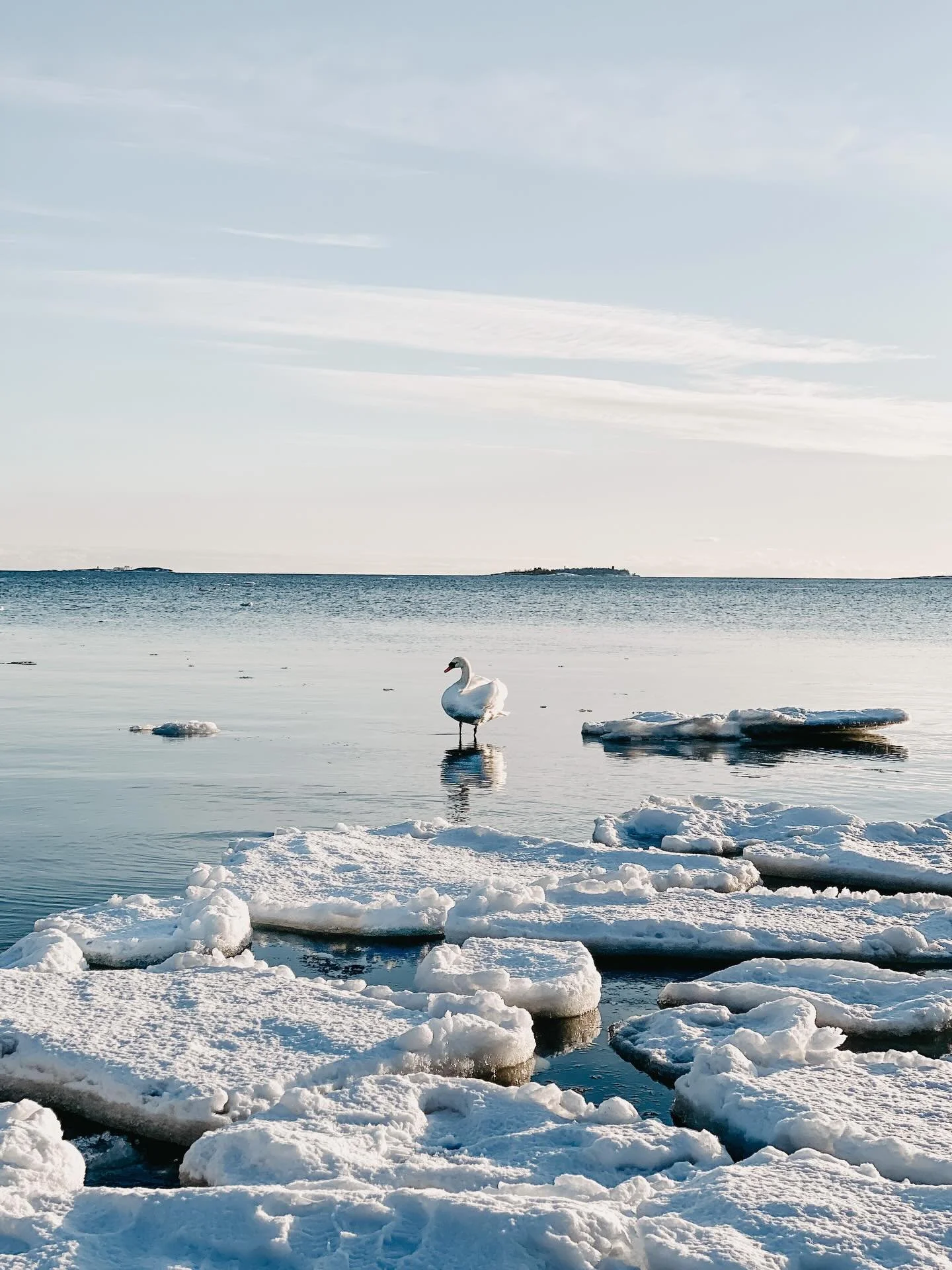 Hyv&auml;&auml; itsen&auml;isyysp&auml;iv&auml;&auml;! Happy Independence Day Finland 🤍🇫🇮🤍