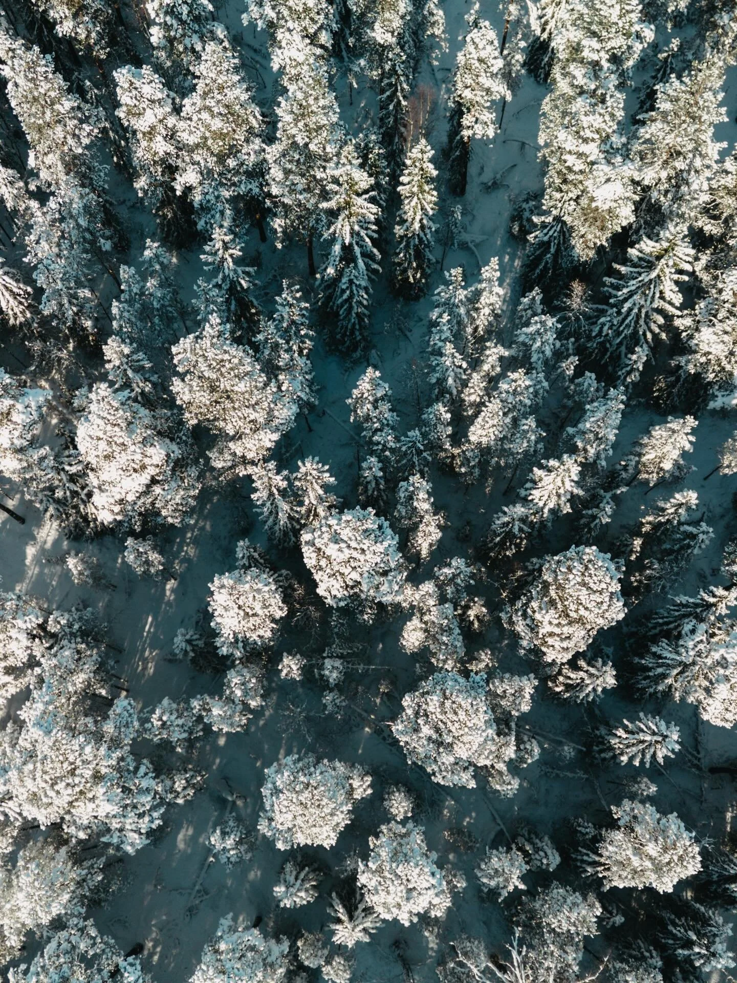 An evening dose of winter appreciation from the weekend. 🤍✨