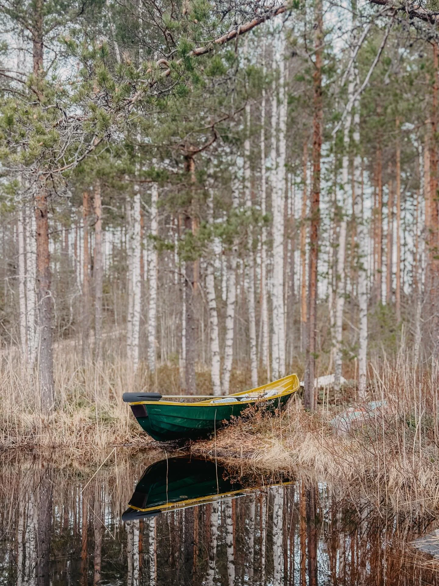 Seasons opening &amp; spring clean week at Kolmiom&ouml;kki ✨🛶🌷