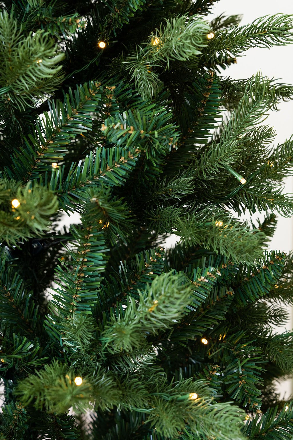 Get_Boxed-green tree close up.jpg