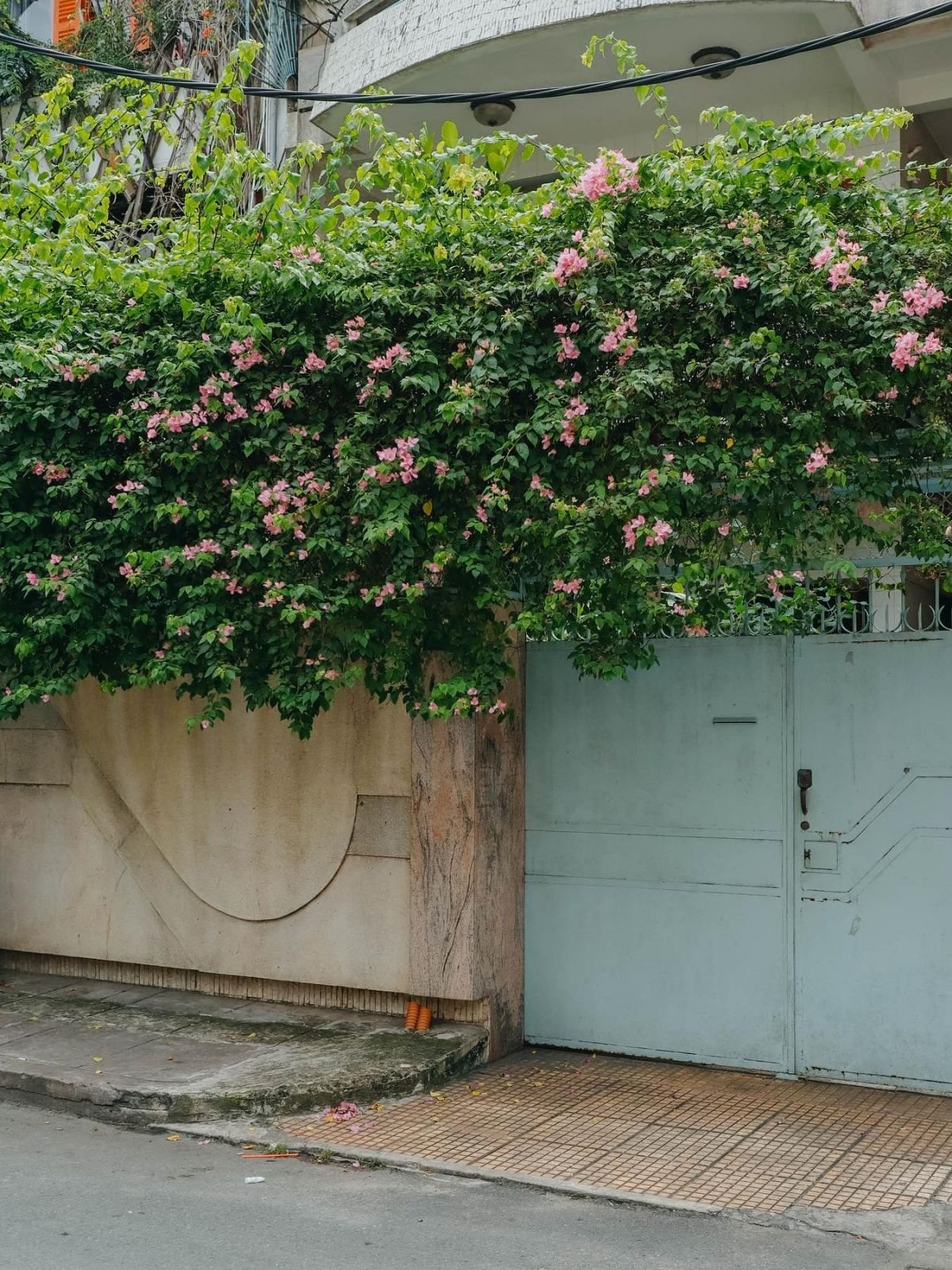 Flower-lined street in Tân Định, one of Ho Chi Minh City’s most charming neighborhoods.