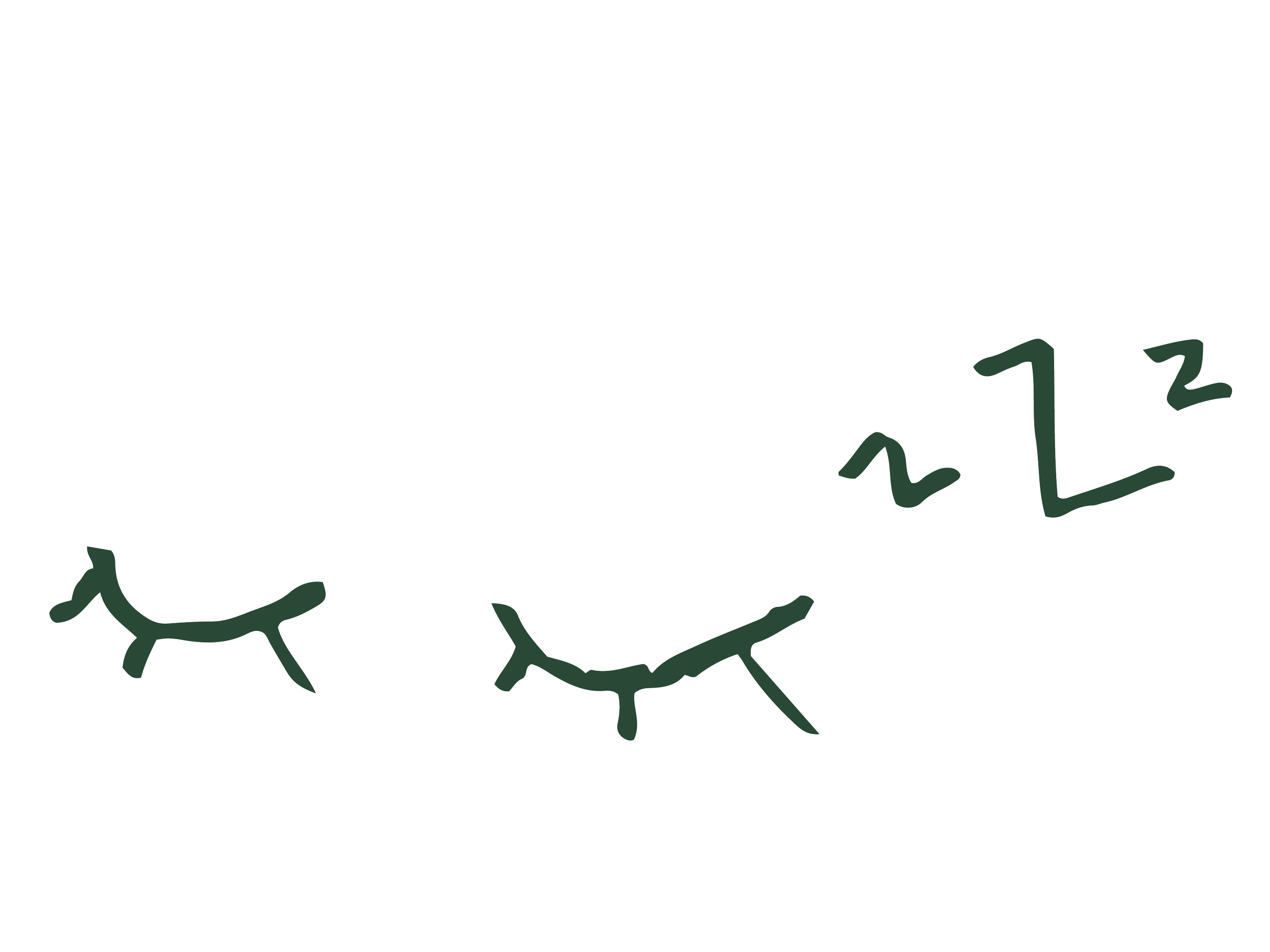 Sleeping Kooling illustration