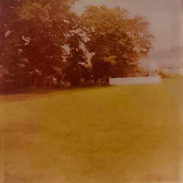 A grassy field with trees in the background and a white fence in the distance.