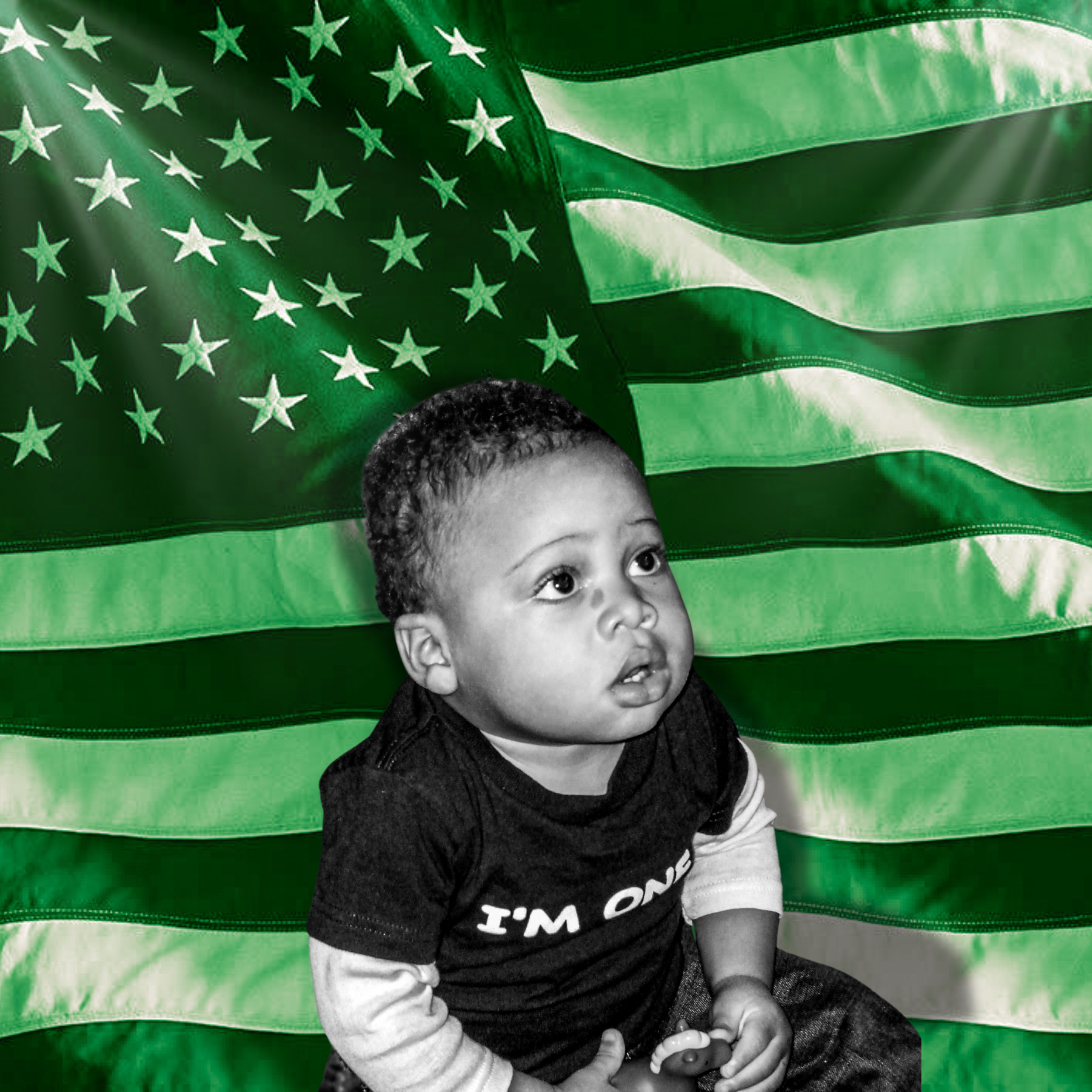 MAKE 'MERICA MERAKI Vinyl