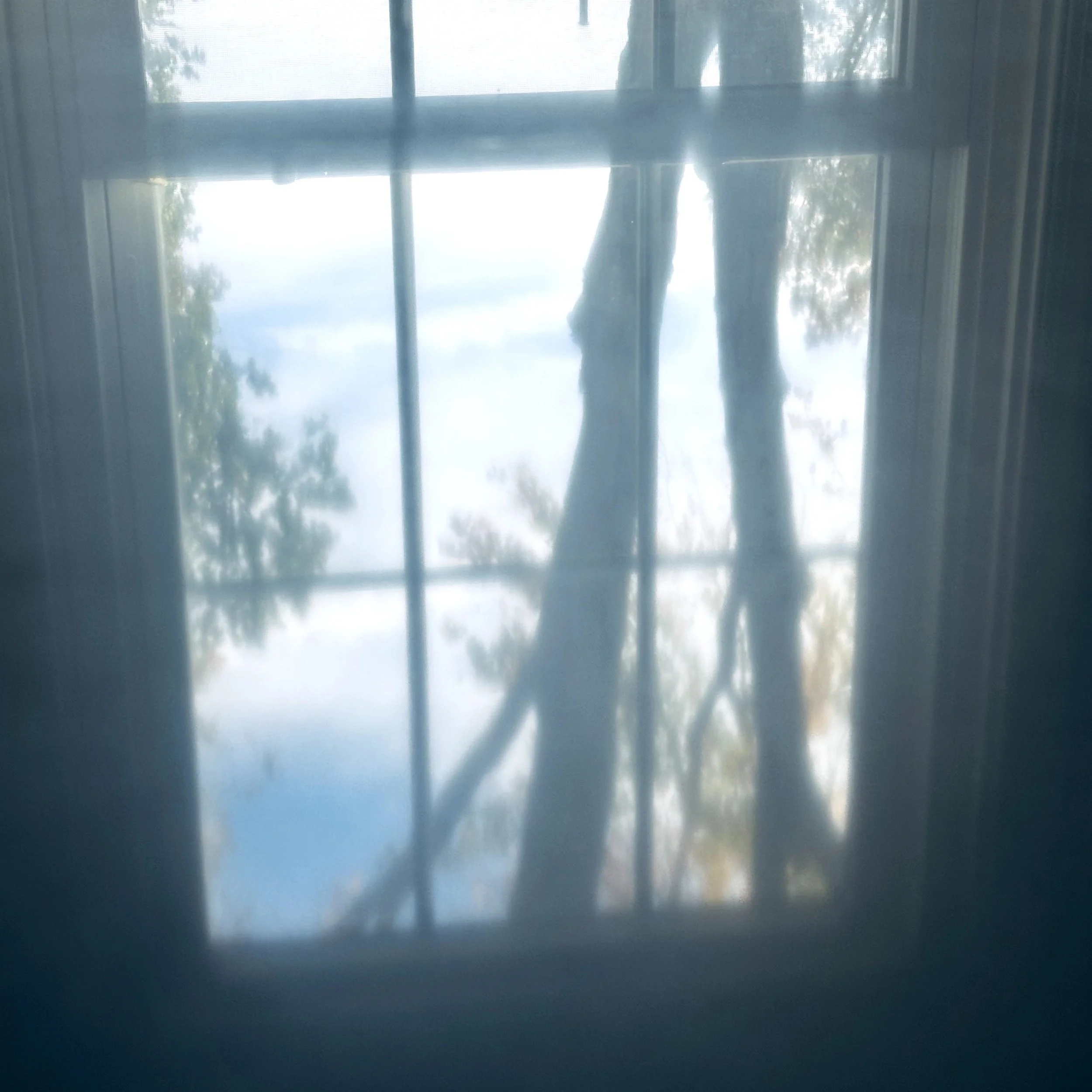 View of tree branches and blue sky with clouds through a window with grid panes.