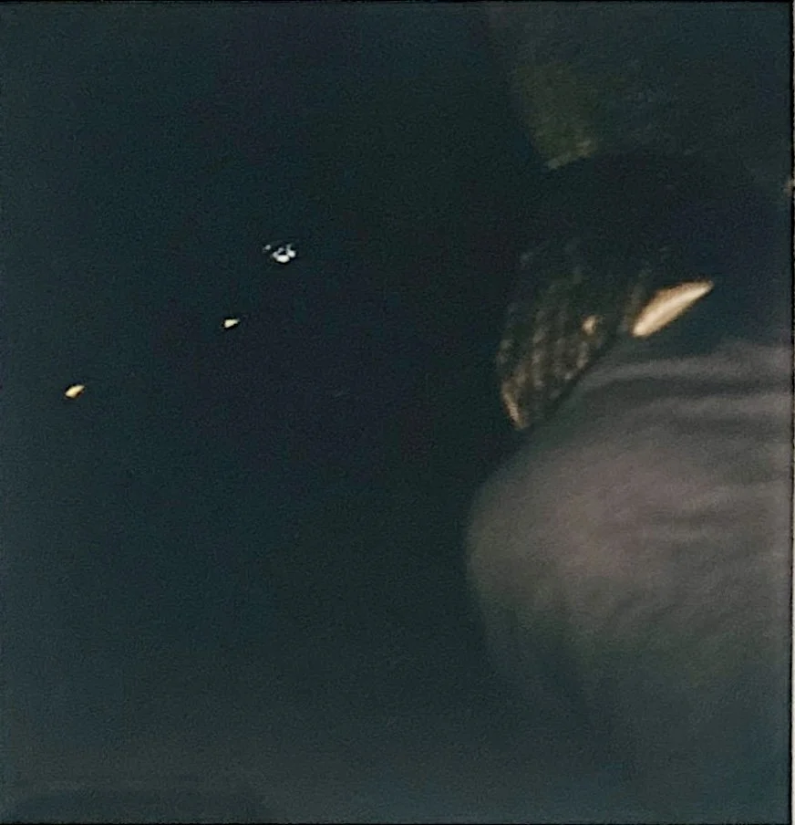 A dark scene with some small points of light and a large rounded object that appears to be a person's head or shoulder, partially visible on the right side.