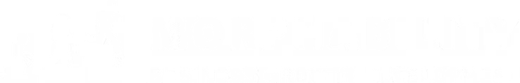 Logo with a silhouette sequence of a person transforming from a child to an adult, and text that reads "Morphability Business Growth Development."