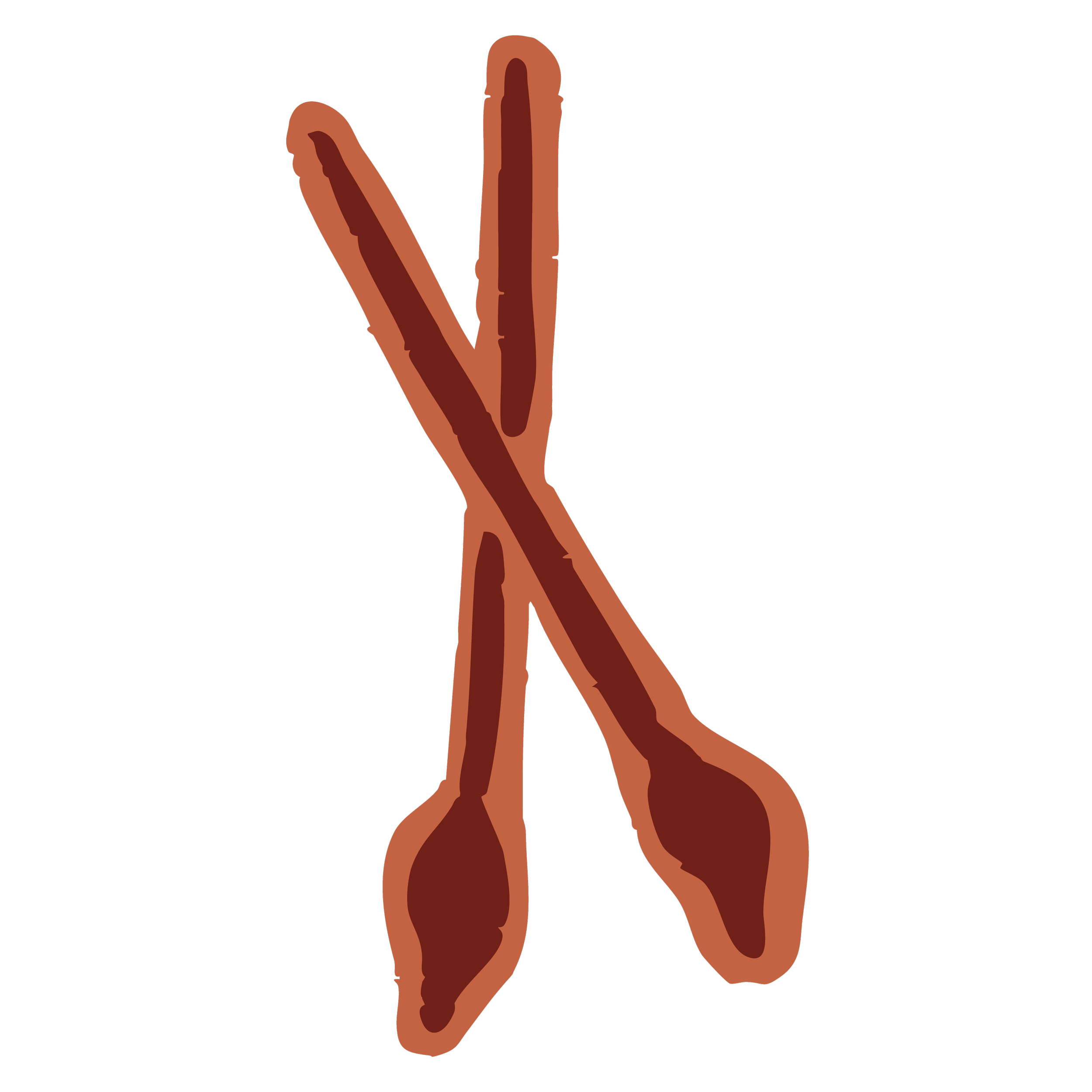 Illustration de 2 pinceaux croisés