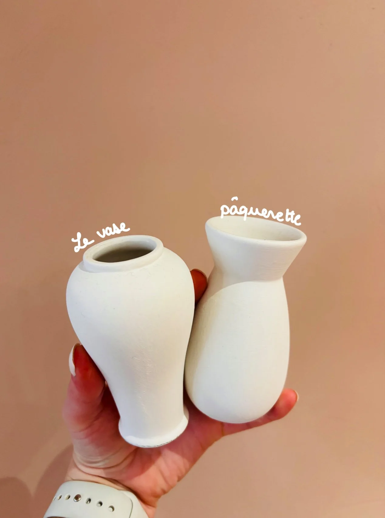 Pâquerettes (25€ les deux)