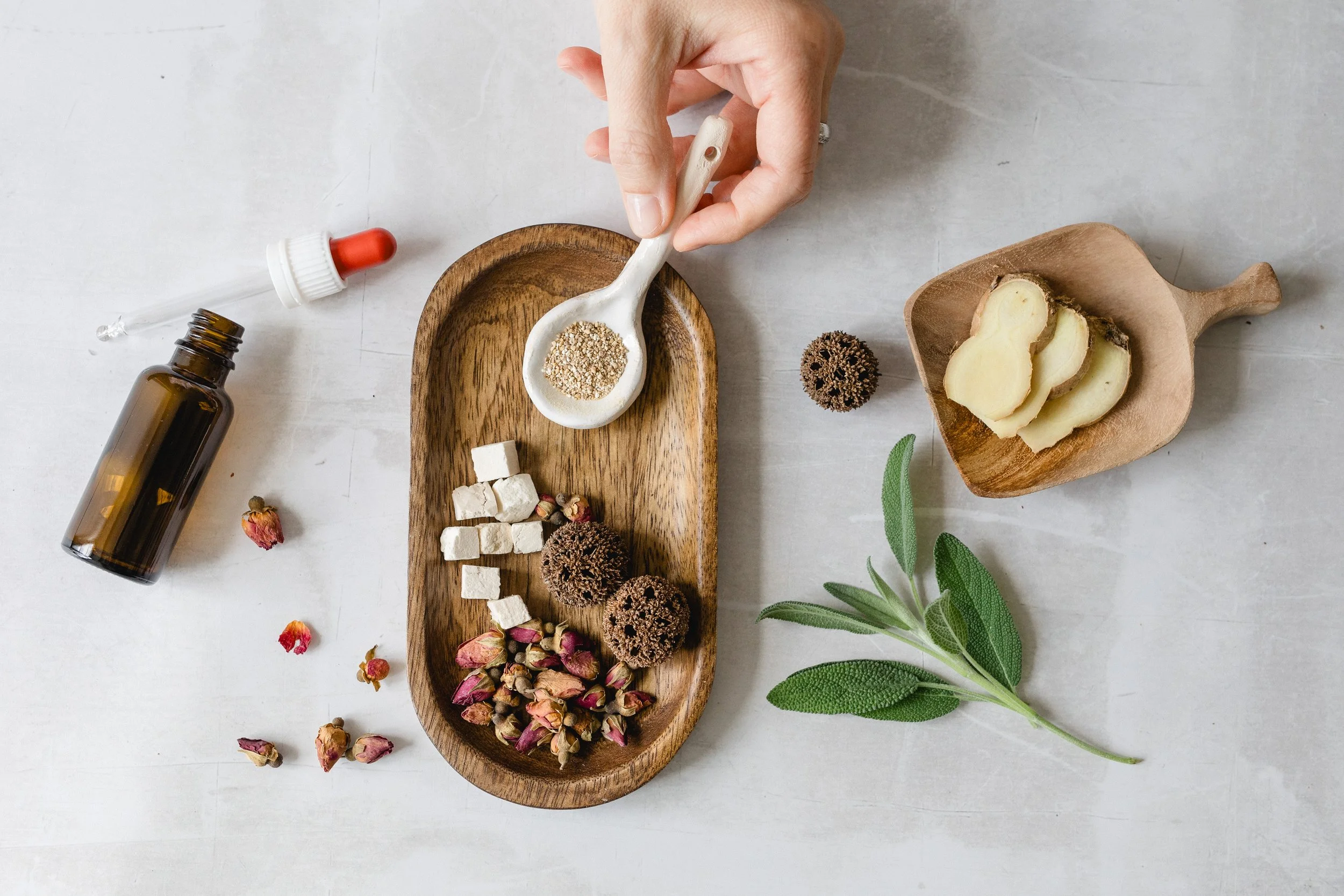 Arrangement chinesischer Kräuter aus der TCM Medizin