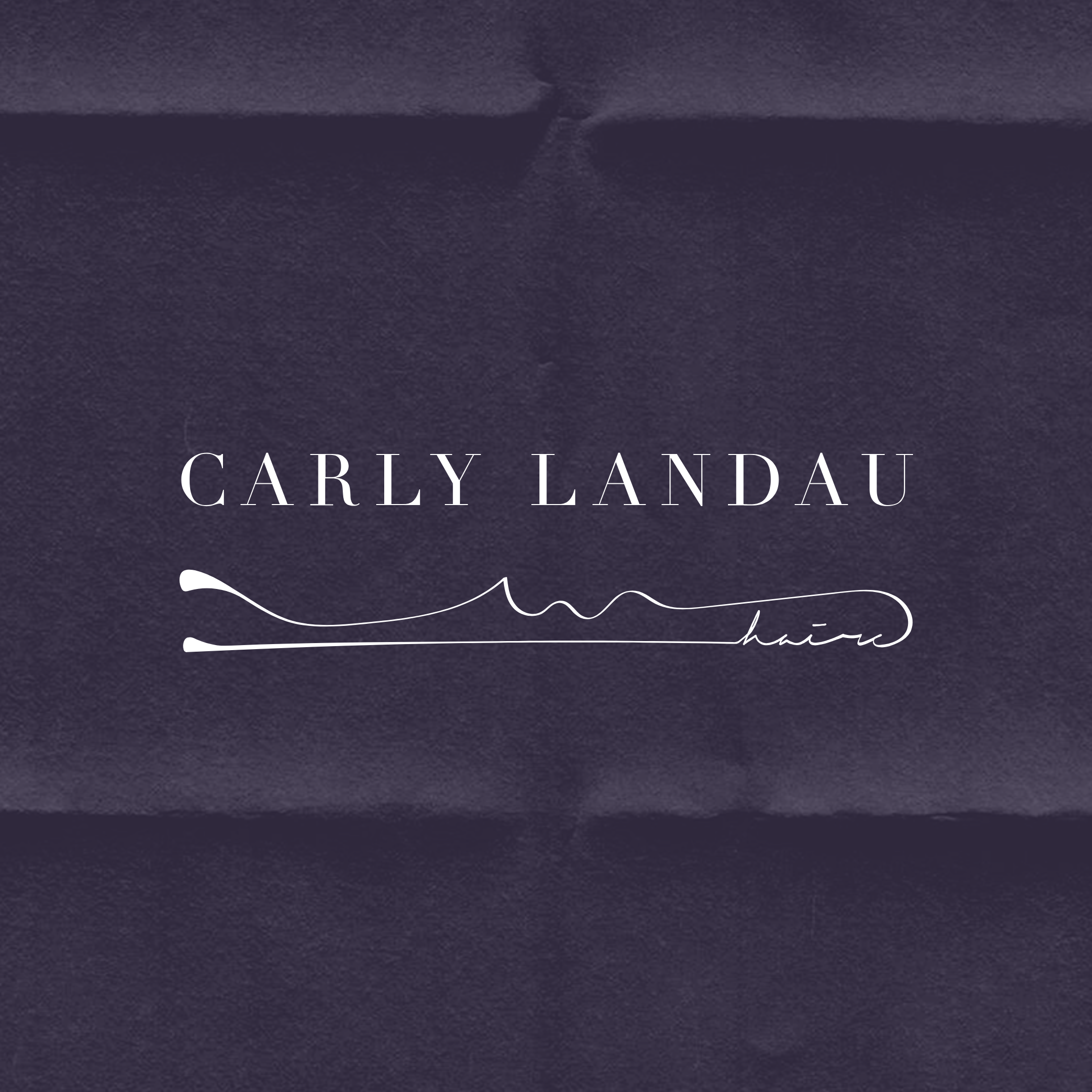 CARLY LANDAU HAIR / Brand Identity
