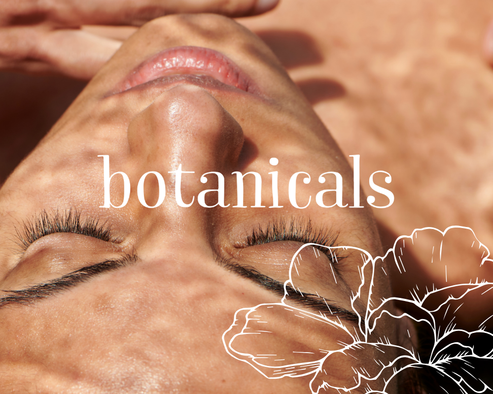 BOTANICALS / Brand Identity