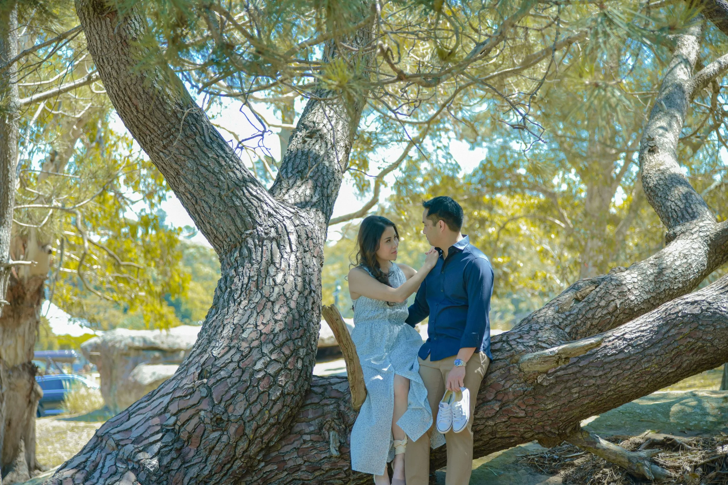 A young couple sitting on a large horizontal tree branch in a park, gazing at each other, with trees and a parking lot visible in the background.