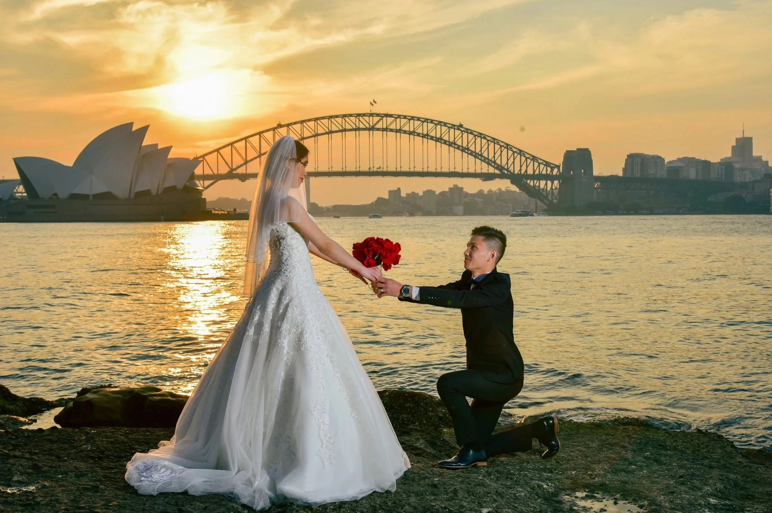 A bride in a white wedding gown holding a bouquet of red flowers is being handed the bouquet by a groom in a black suit and bow tie who is kneeling on one knee by the water's edge during sunset, with the Sydney Opera House and Harbour Bridge in the b