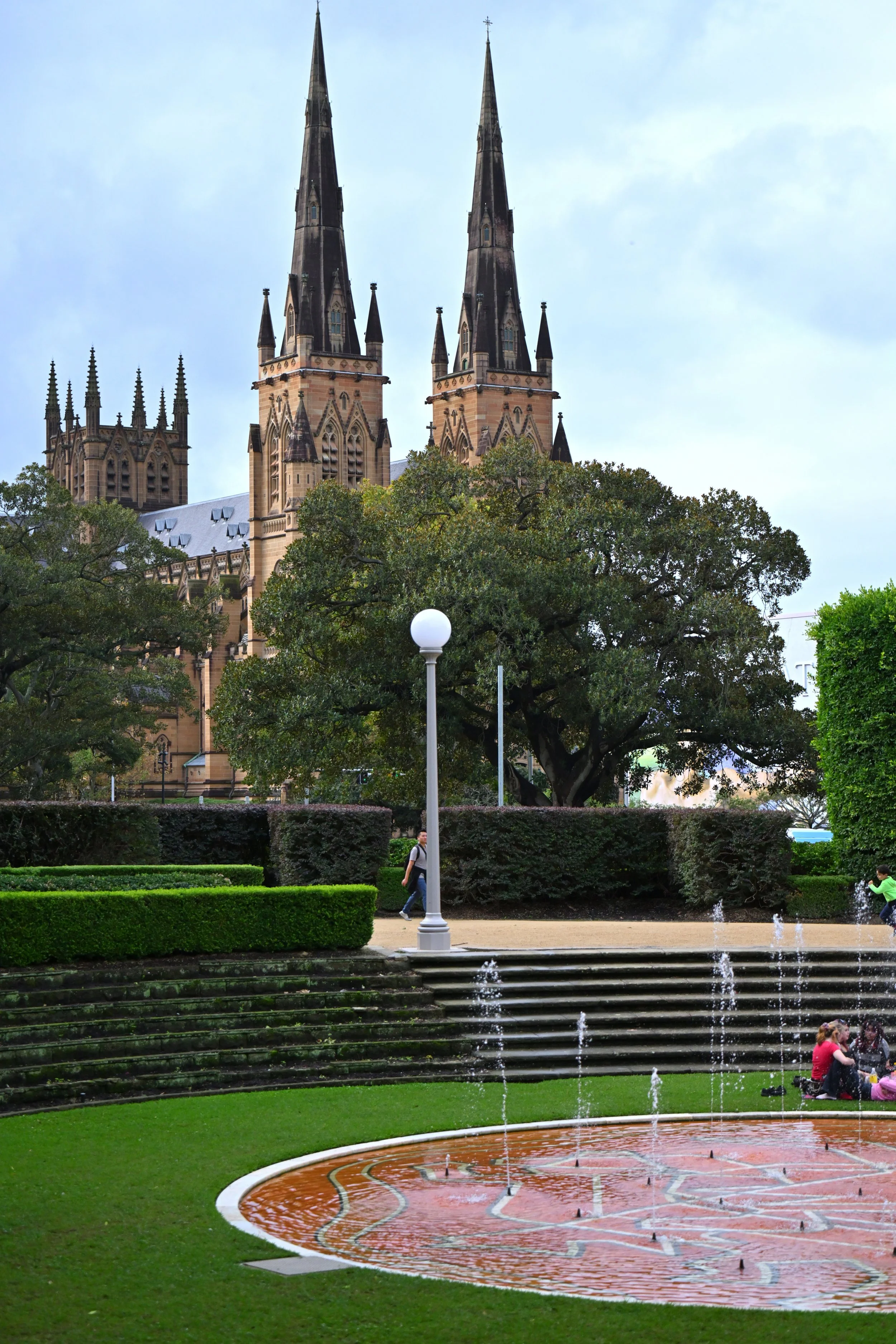 NZ9_3736.JPG