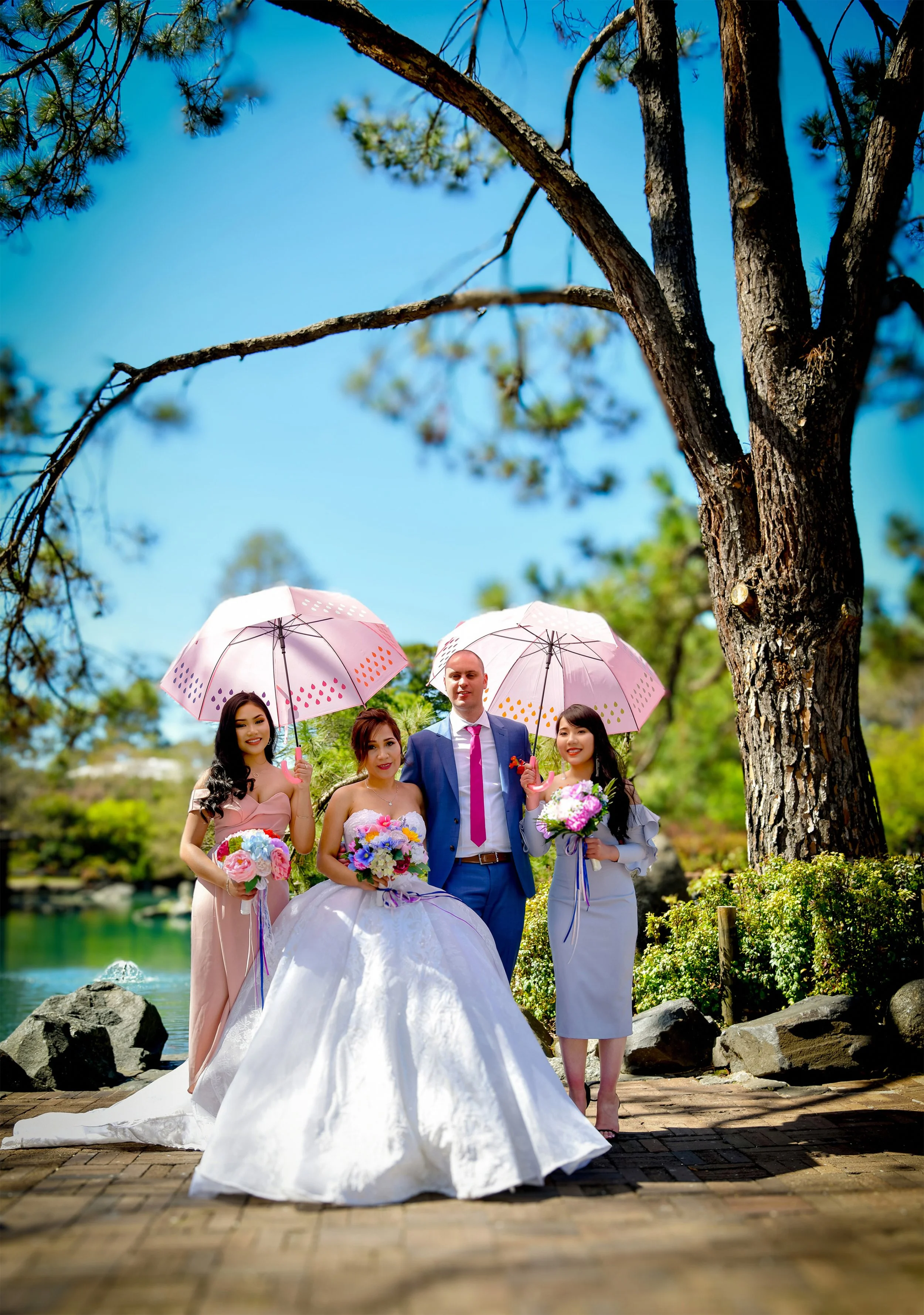 Wedding at Auburn Botanic Gardens