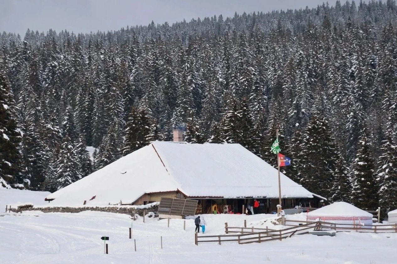 Snow-covered house in a winter forest with flags on a pole, surrounded by snow, and a person walking with a blue bag.