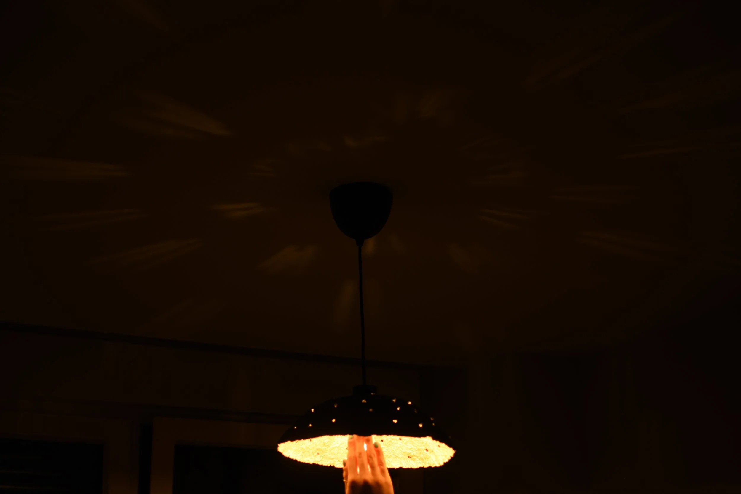 _DSC9528.png
