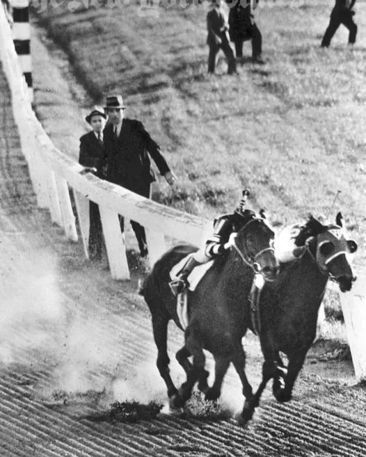 Seabiscuit+and+War+Admiral+1938.jpg
