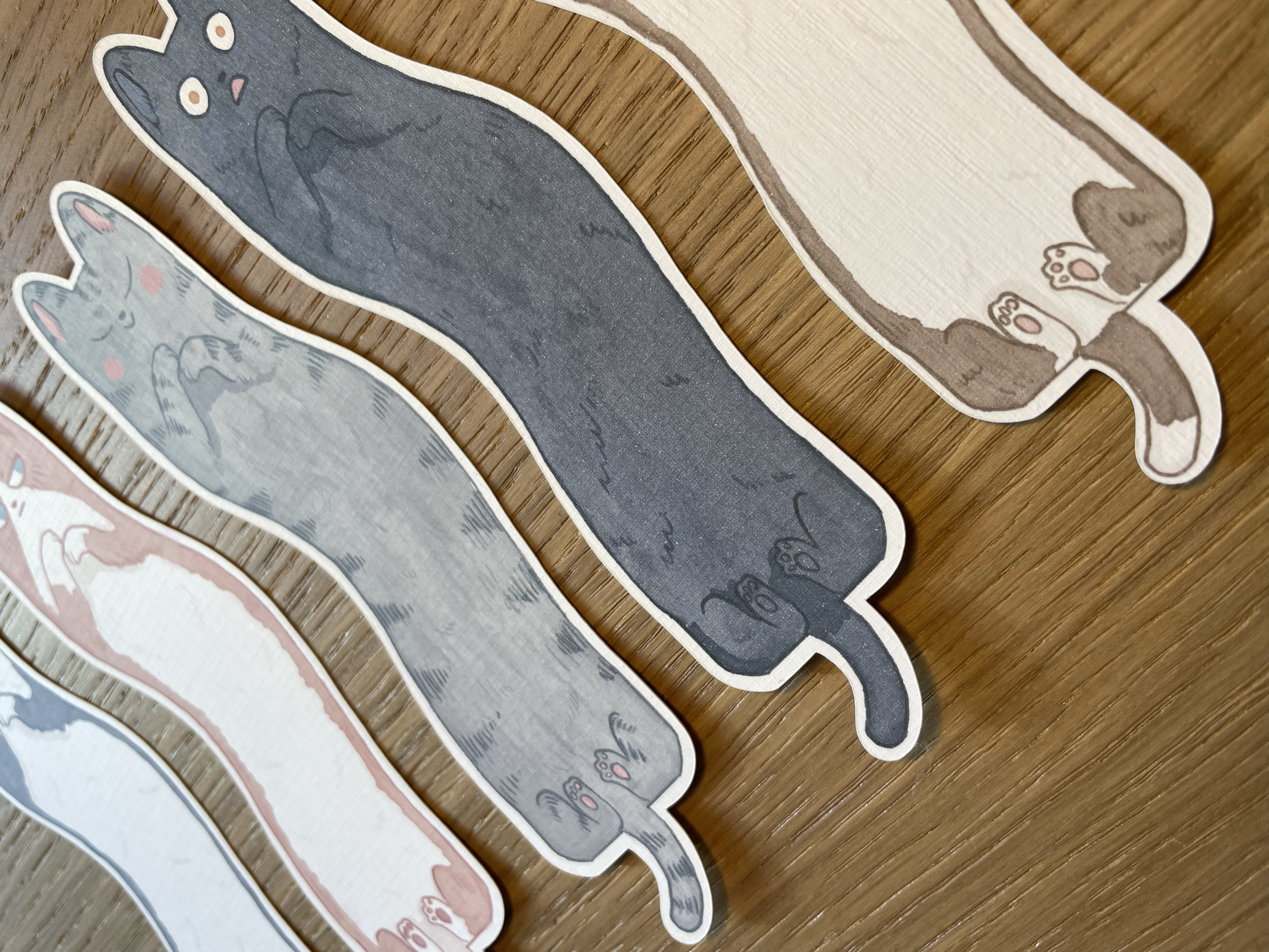 Gattini slinky faccine