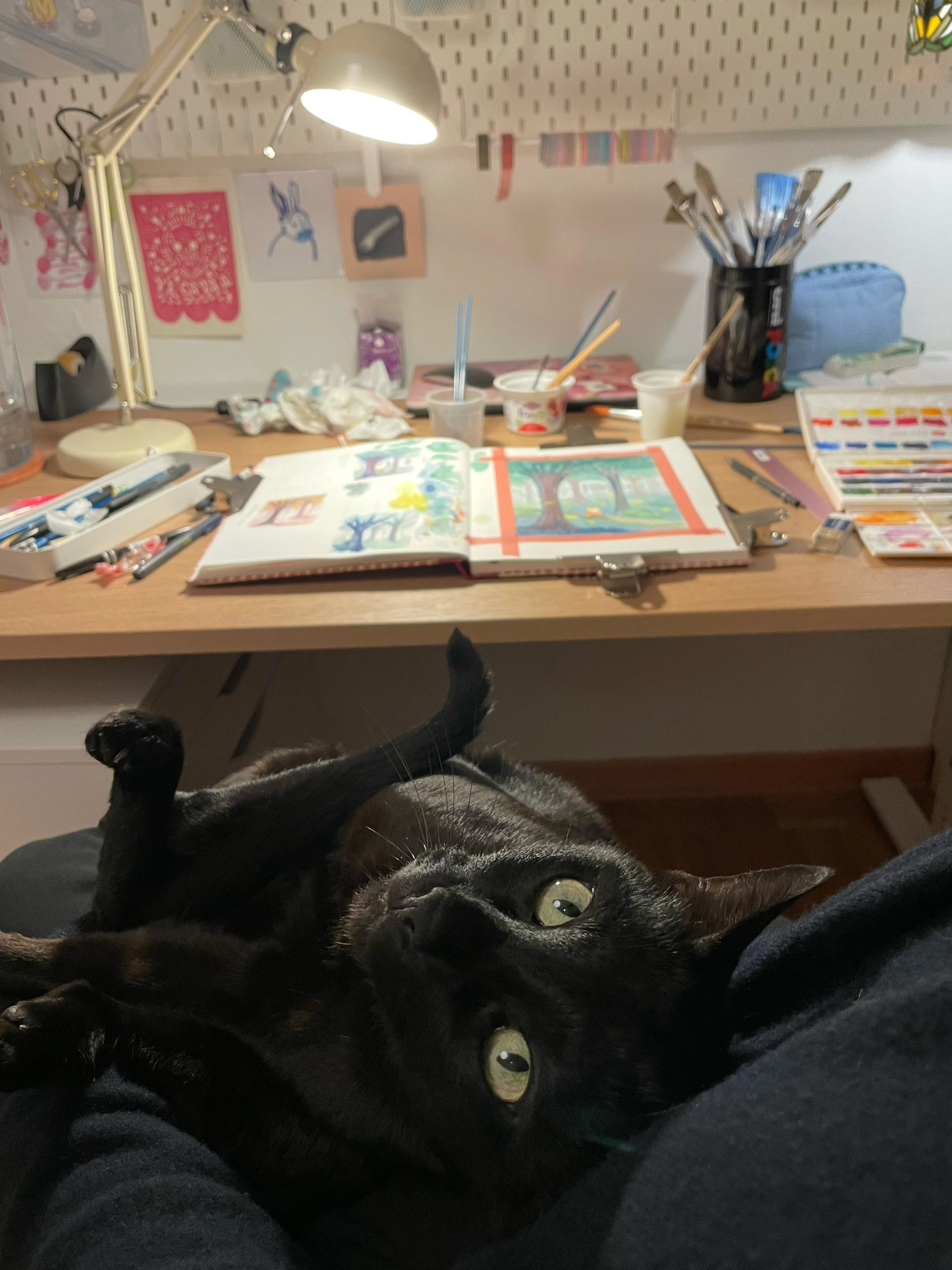 Gatto nero sdraiato sulle gambe di una persona davanti a un tavolo di lavoro con colore e strumenti artistici, illuminato da una lampada