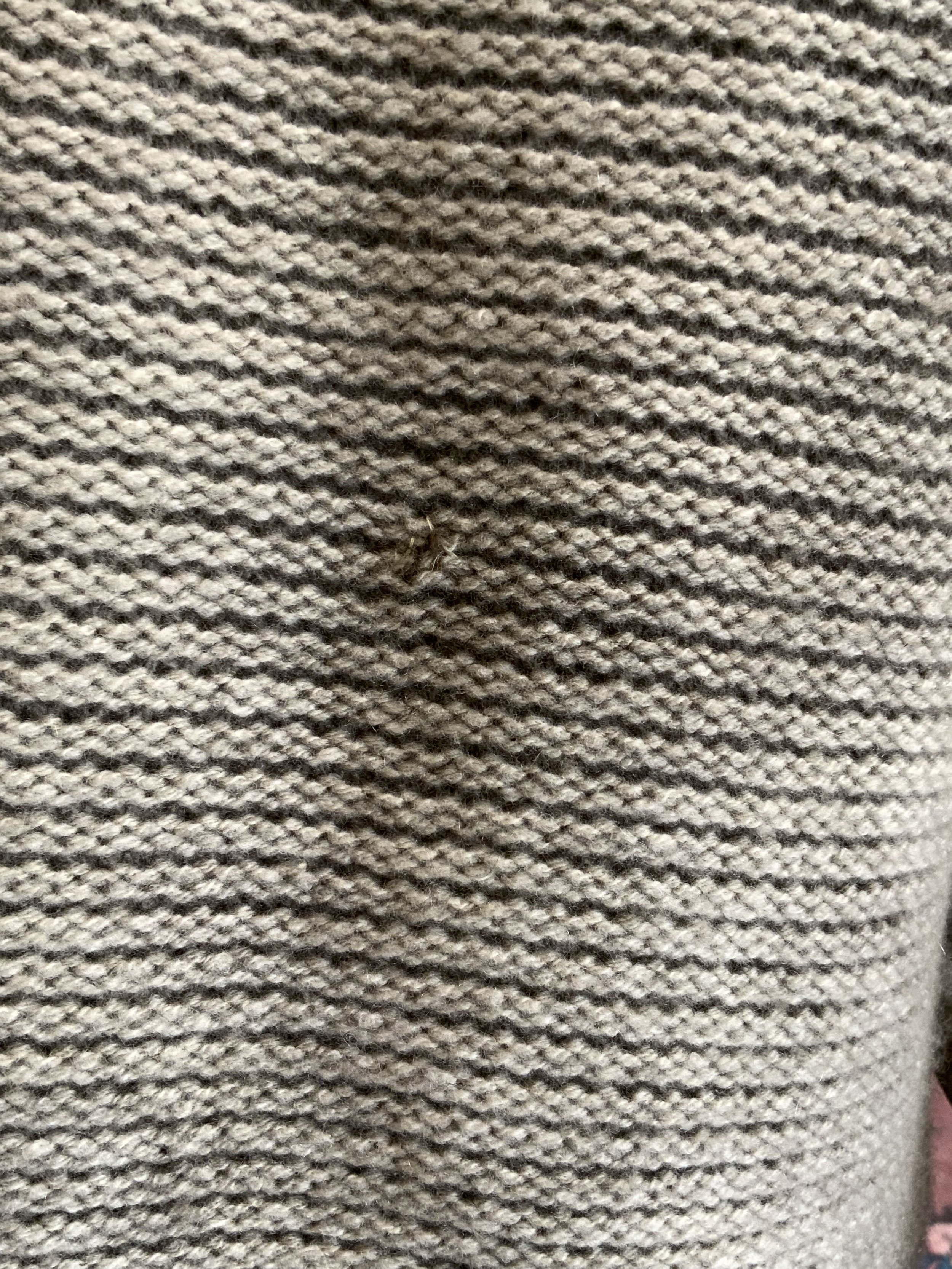 IMG_0630.jpeg