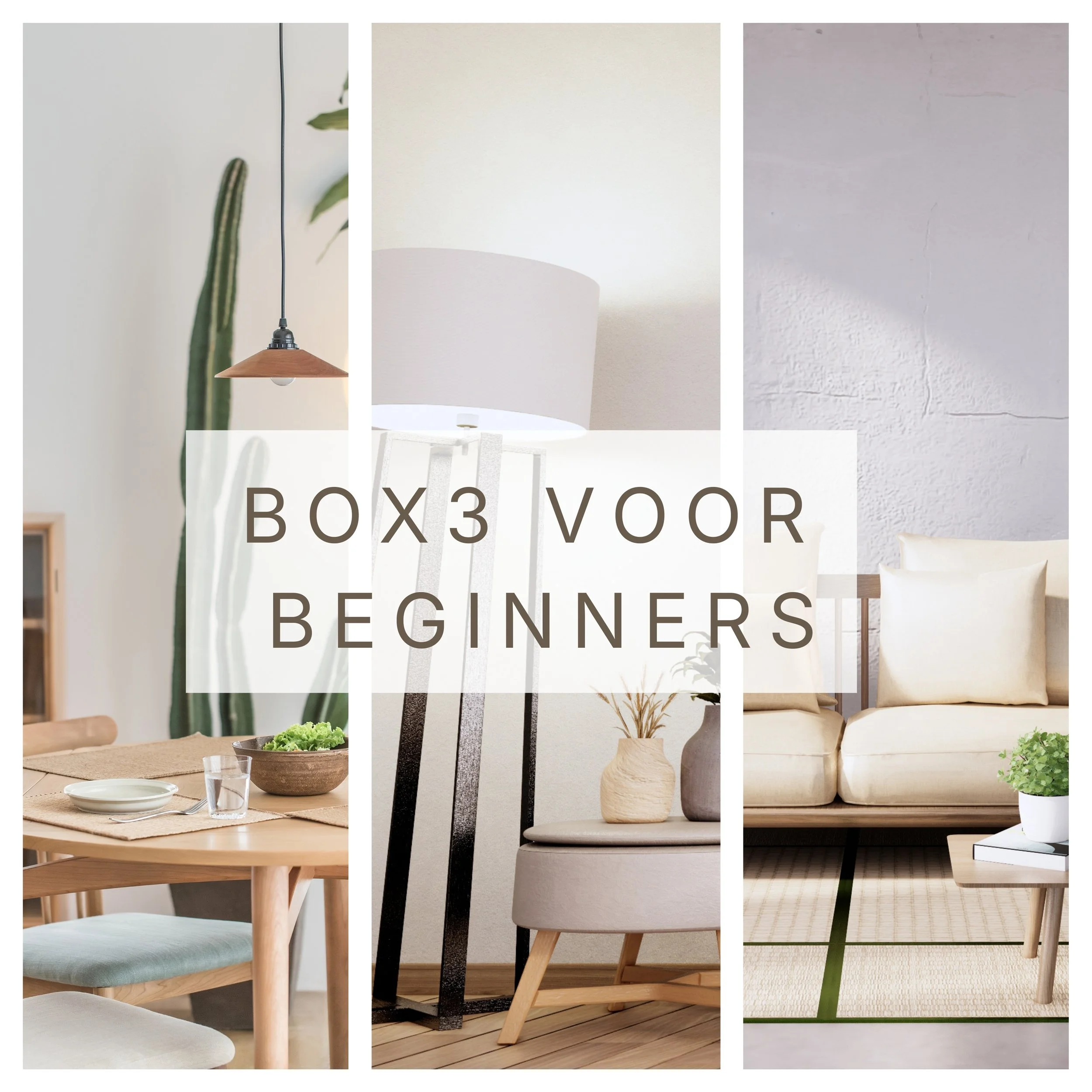Box 3 voor beginners: wat betekent het voor jou als vastgoedbelegger?