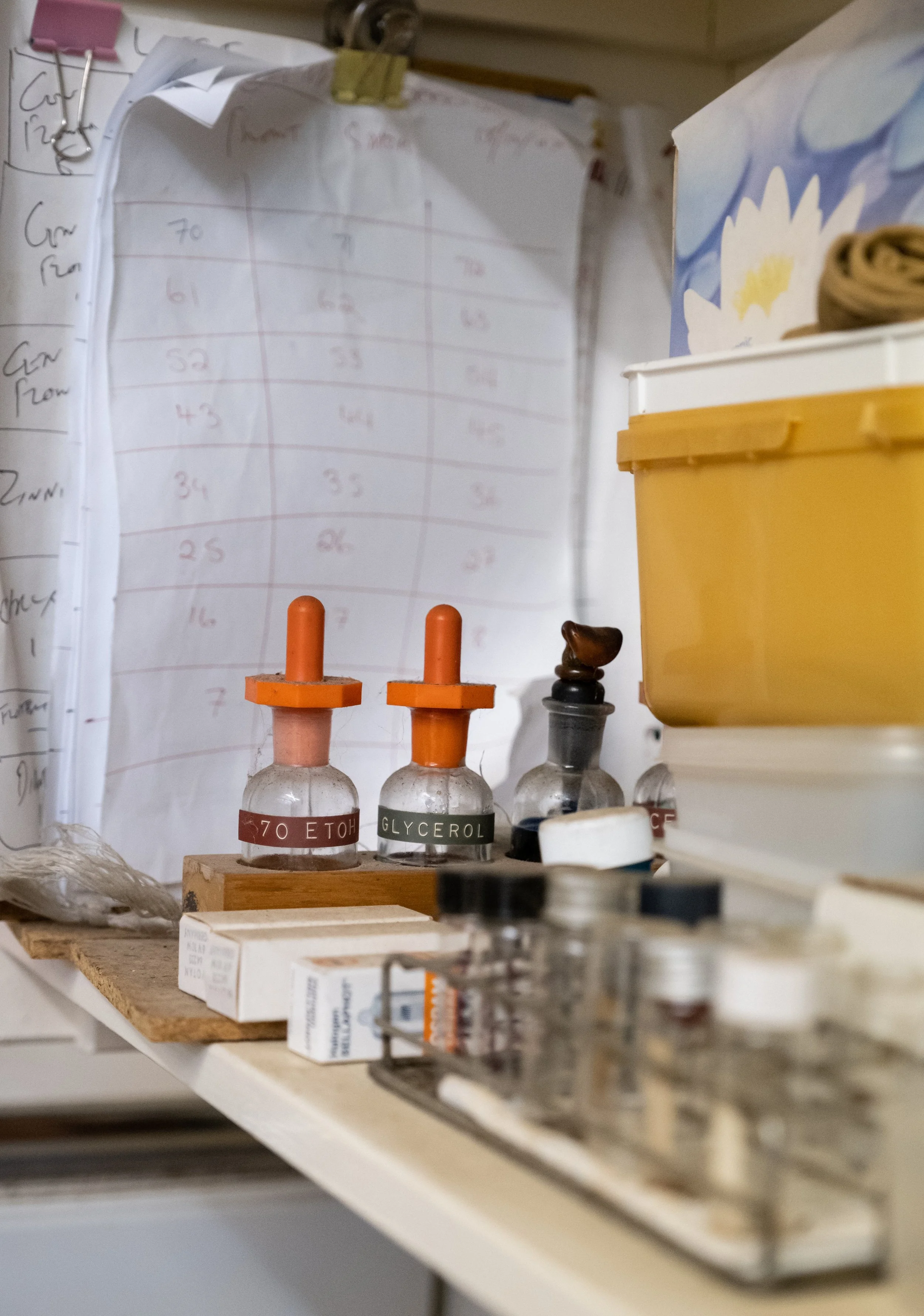 A cluttered shelf with small bottles labeled '70 ETOH' and 'GLYCEROL,' a cardboard box, and various other small objects.
