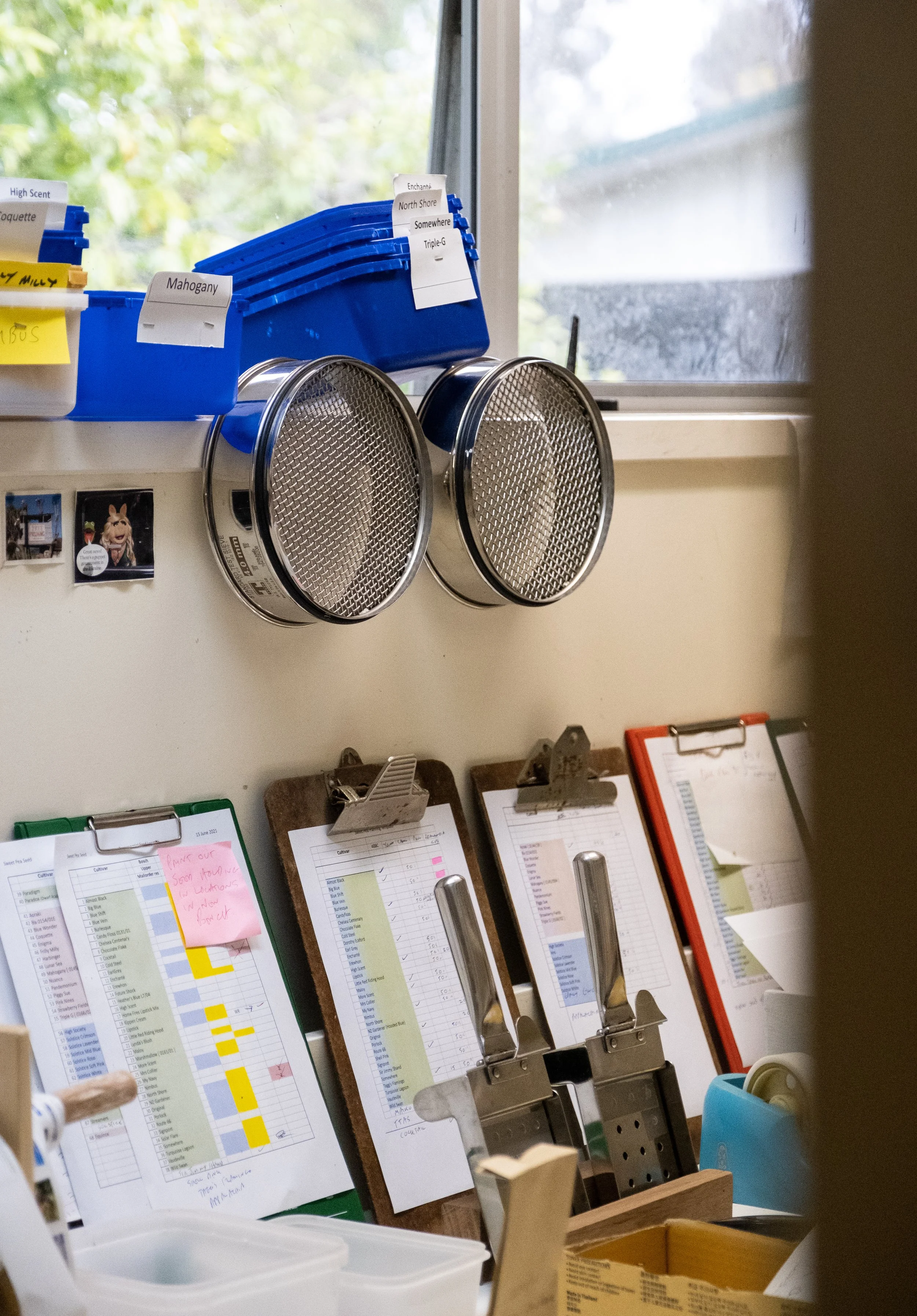 A cluttered office or workspace with clipboards displaying schedules or lists, a blue tape dispenser, a roll of tape, and various papers, some with handwritten notes. There is a window in the background showing outdoors with green trees.