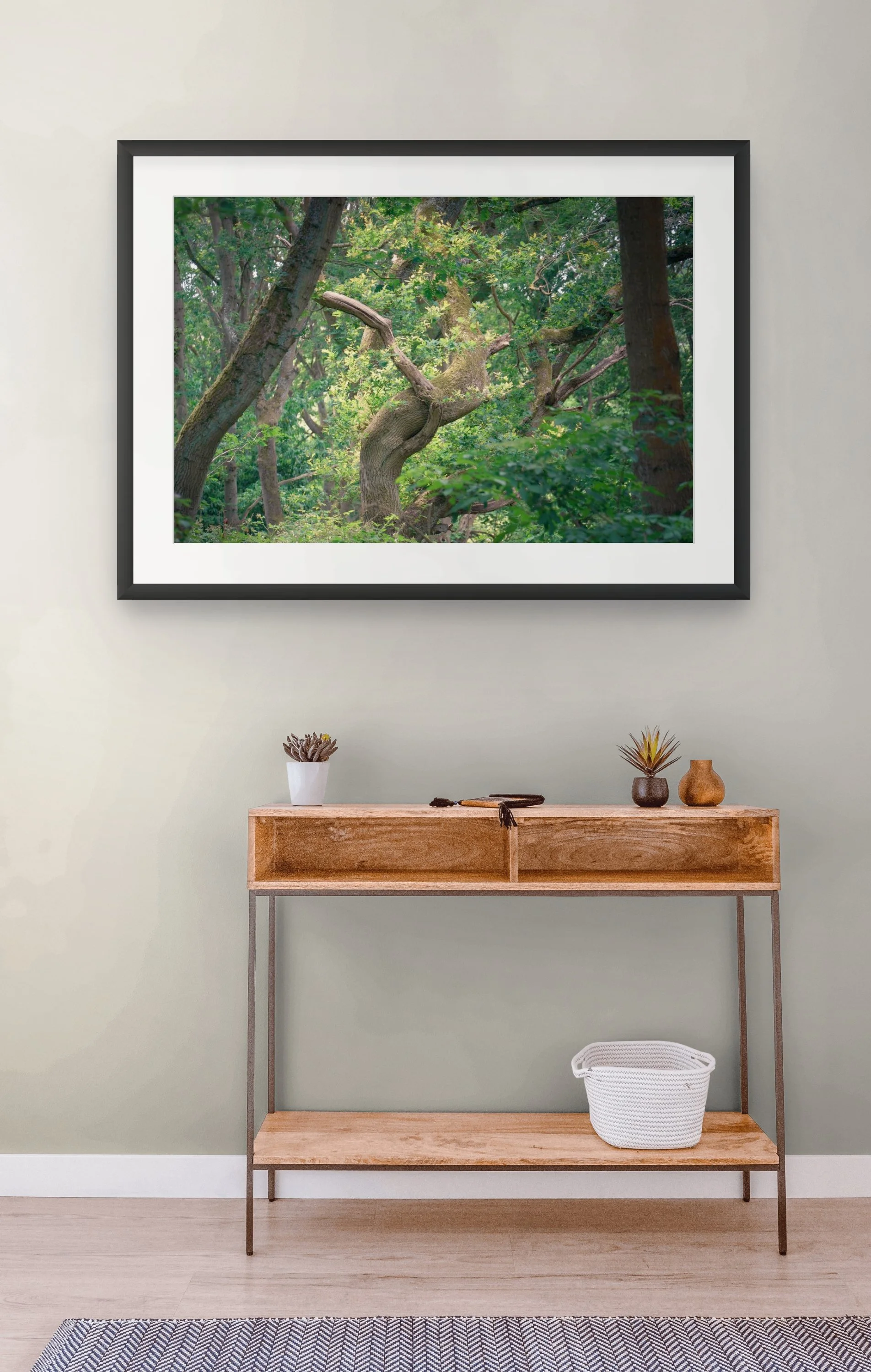 squarespace _tii0875-full.jpg