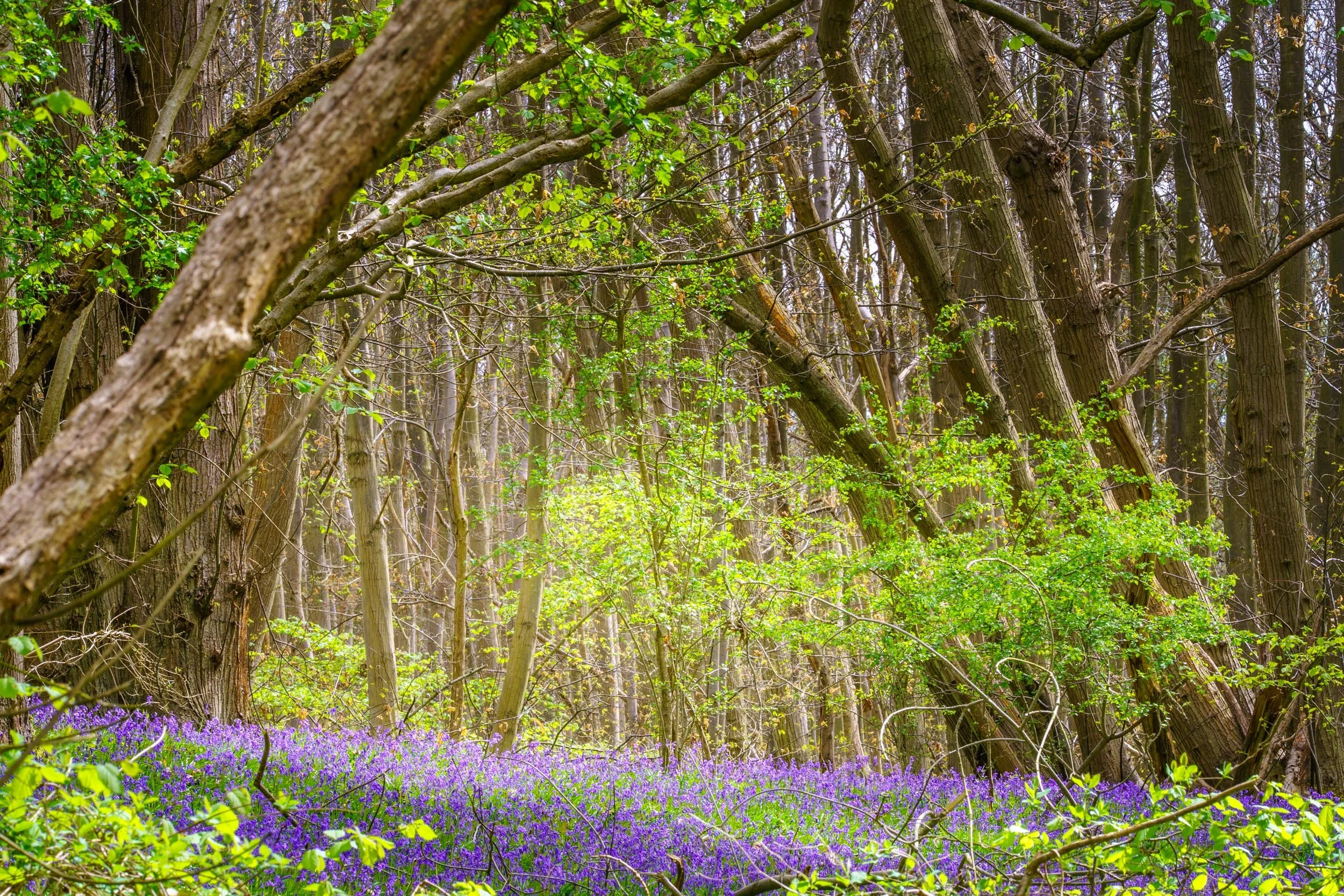 INSTA _TII5543-2.jpg