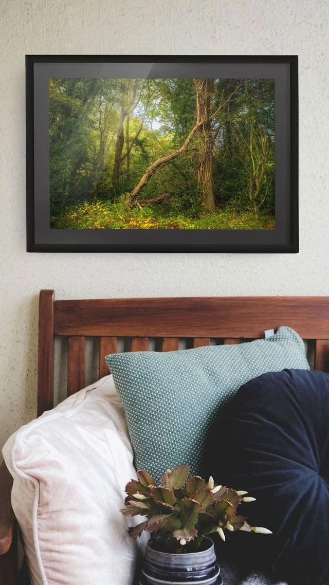squarespace train station tree-2-small.jpg