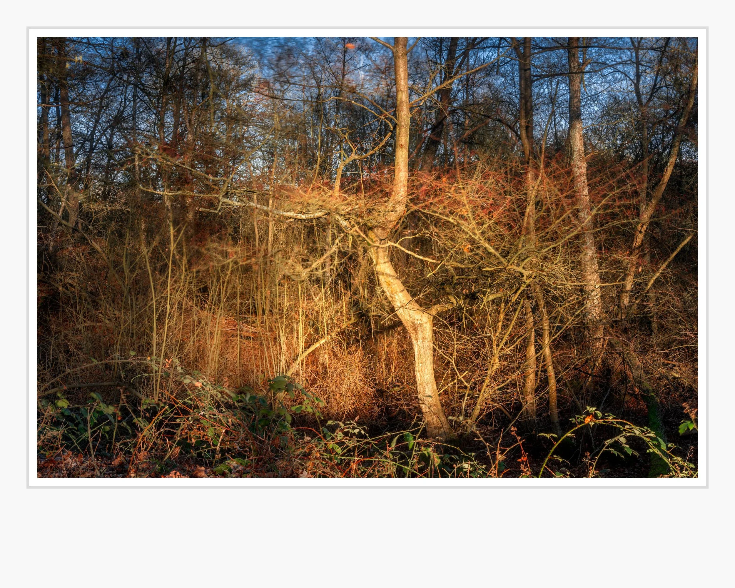 Squarespace _TI22621-Edit-2.jpg