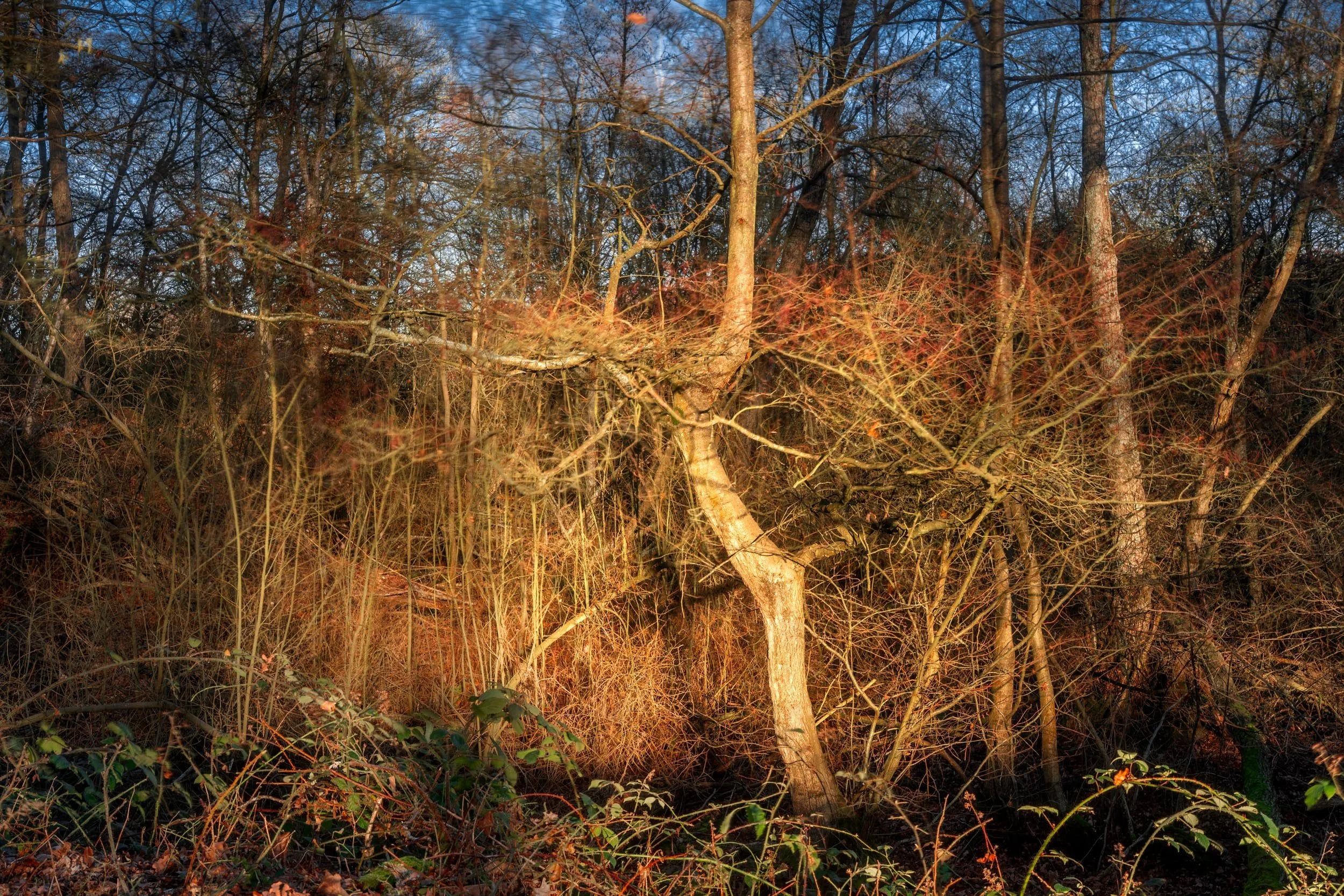 Squarespace _TI22621-Edit-2.jpg