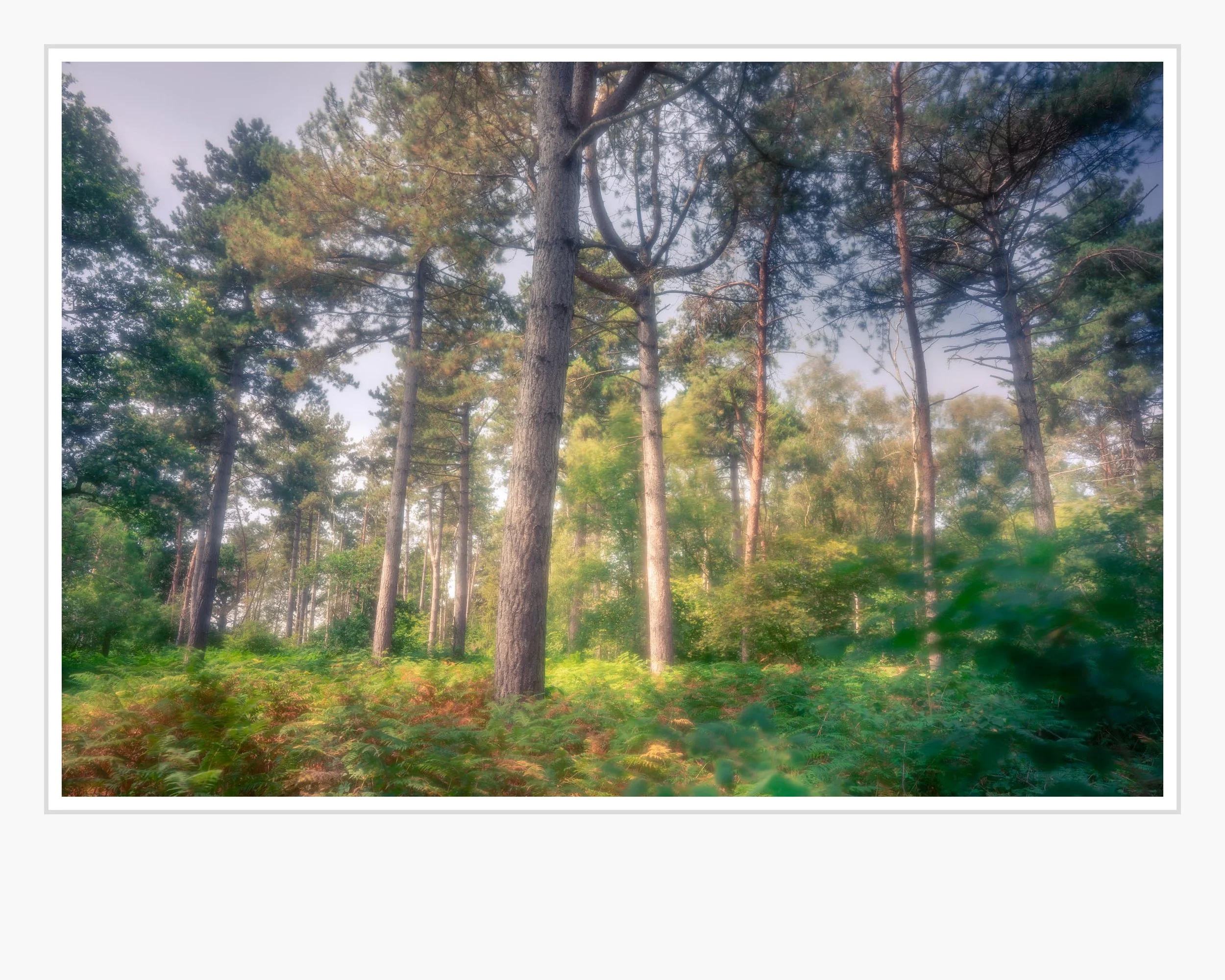 Squarespace _DSC8130-Edit-2.jpg