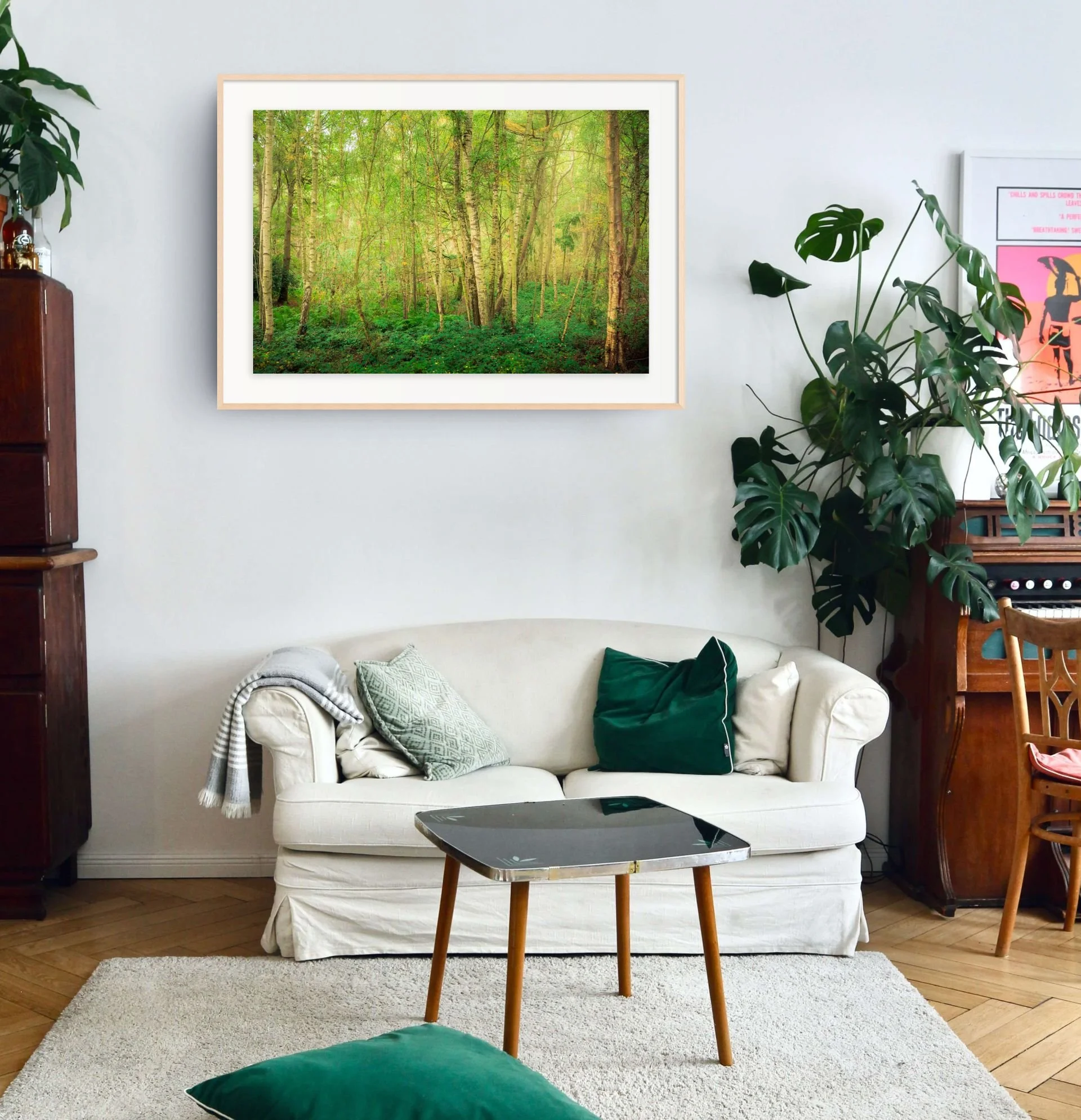 squarespace birch trees-medium.jpg