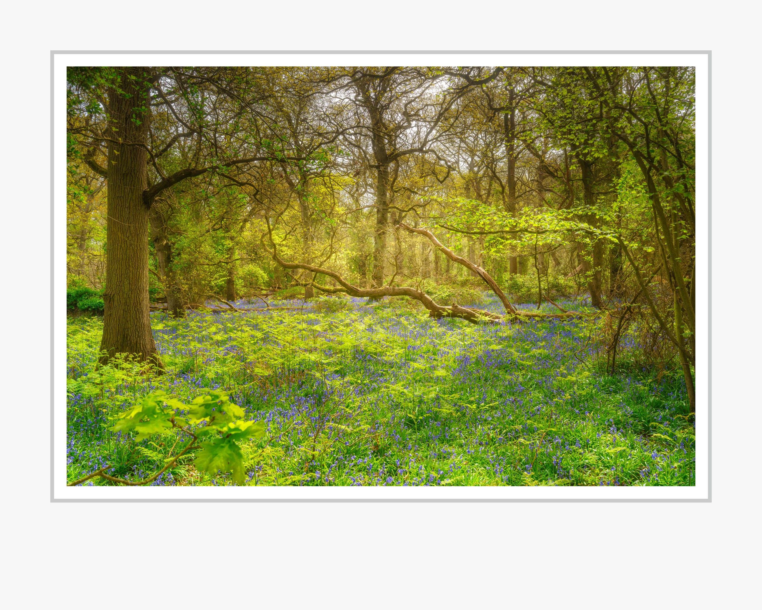 _TI25315 Mounted.jpg