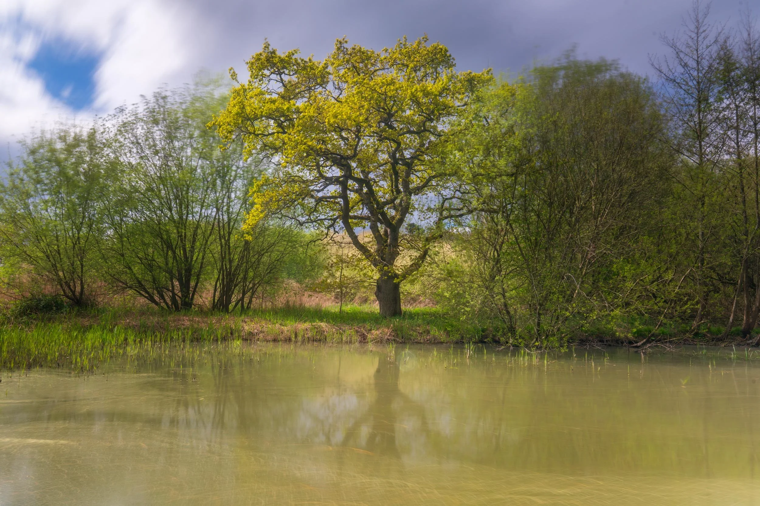 INSTA _TI25411-2.jpg