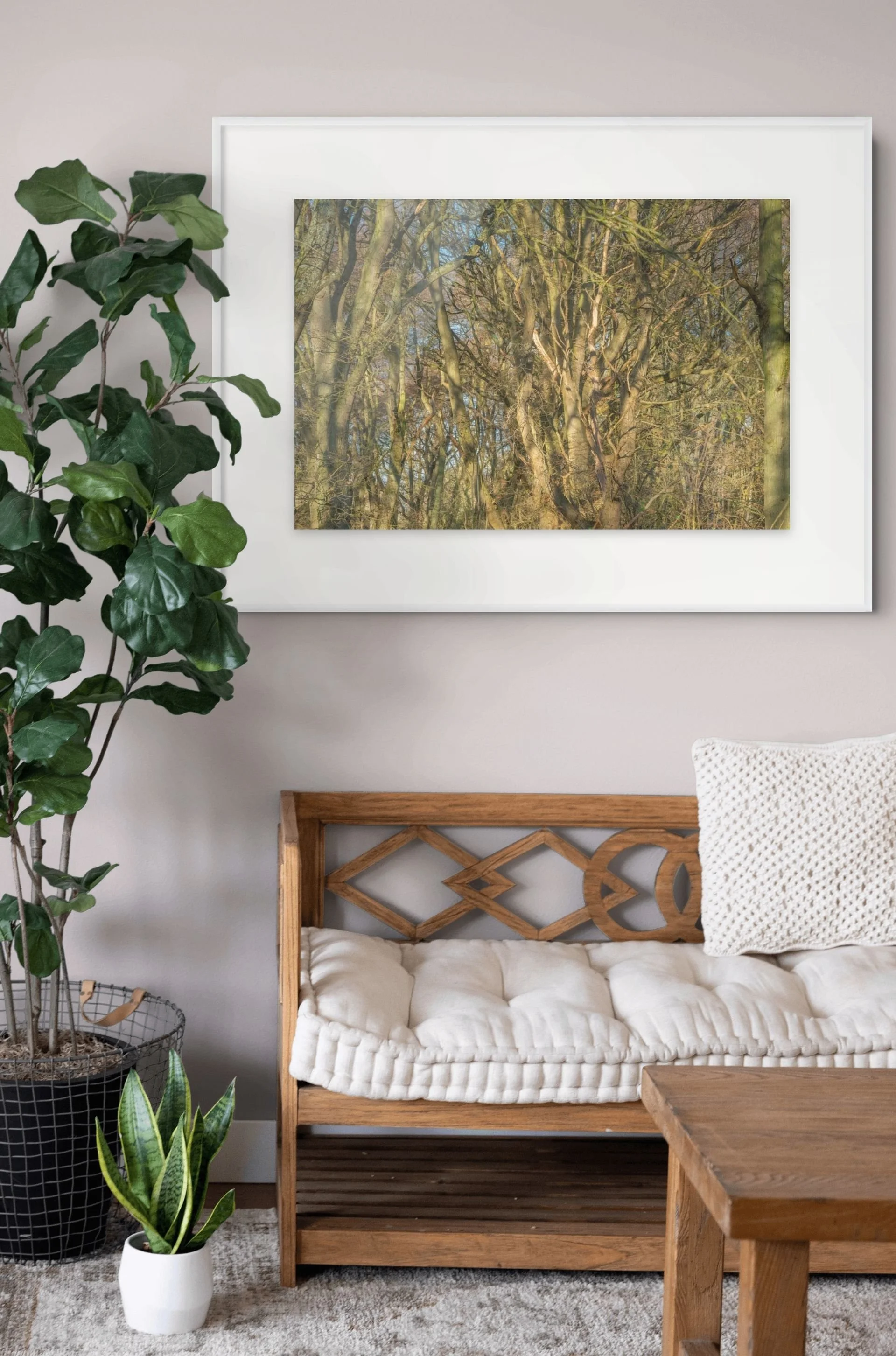 squarespace _ti22136-edit-medium.jpg