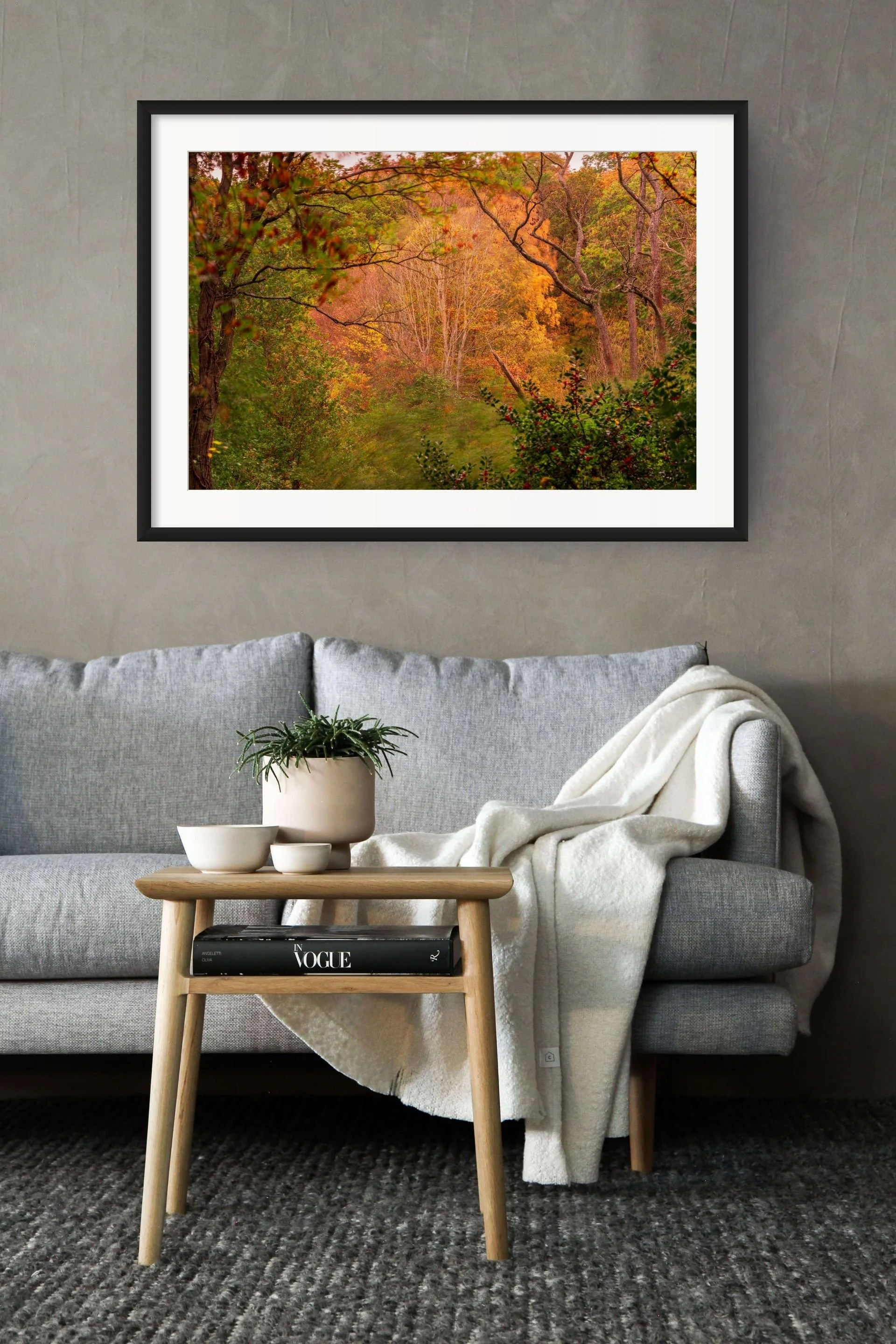 squarespace highwoods park - tim ireland-medium.jpg