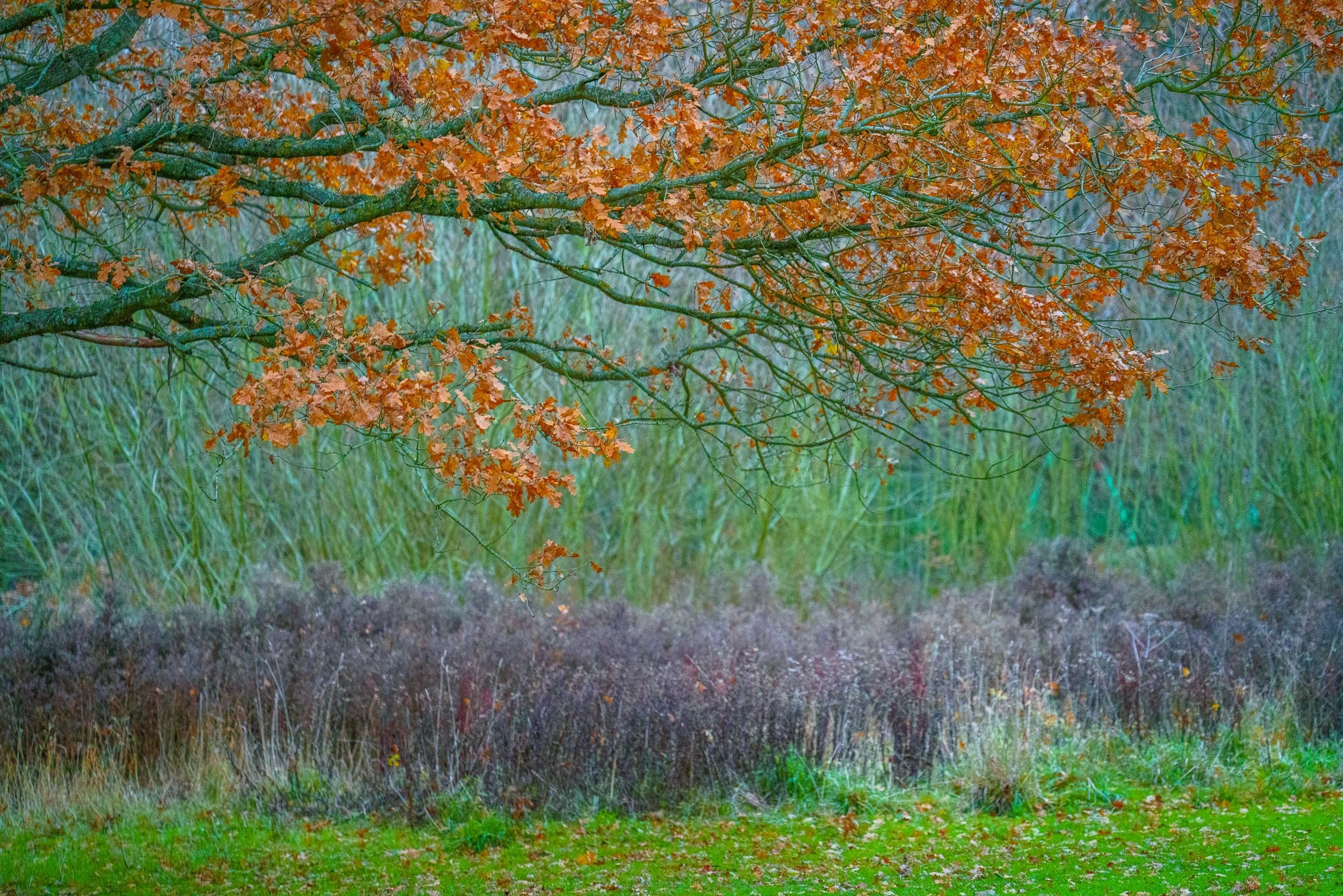 _TI21238 SCREEN-2.jpg