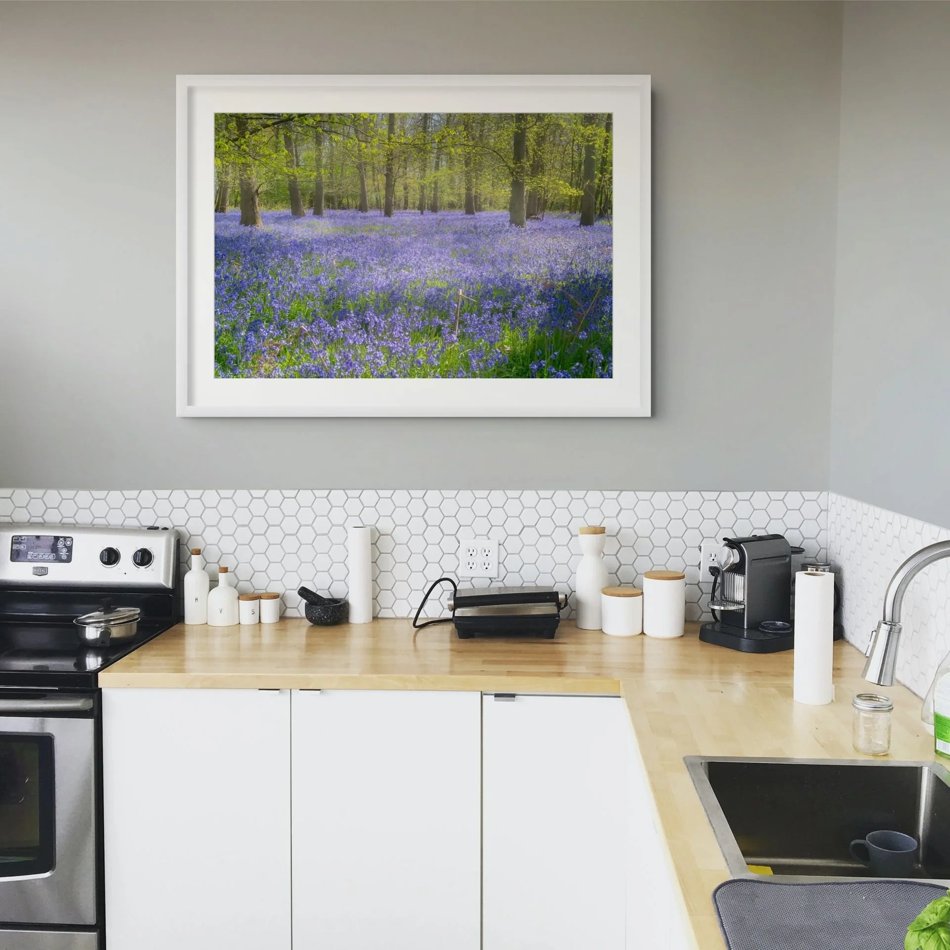 squarespace _tii5853-medium.jpg