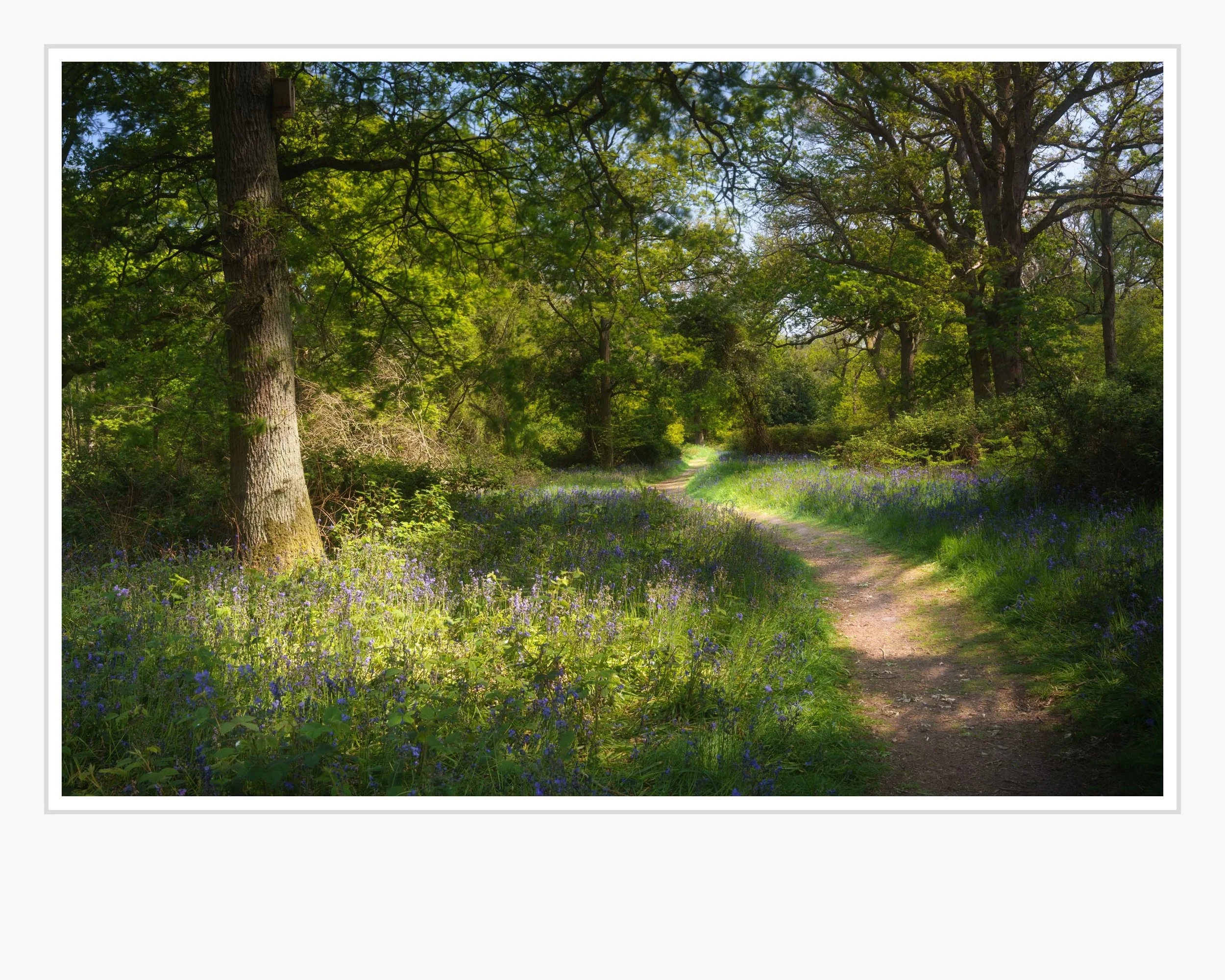 Squarespace _TI25576-Edit.jpg