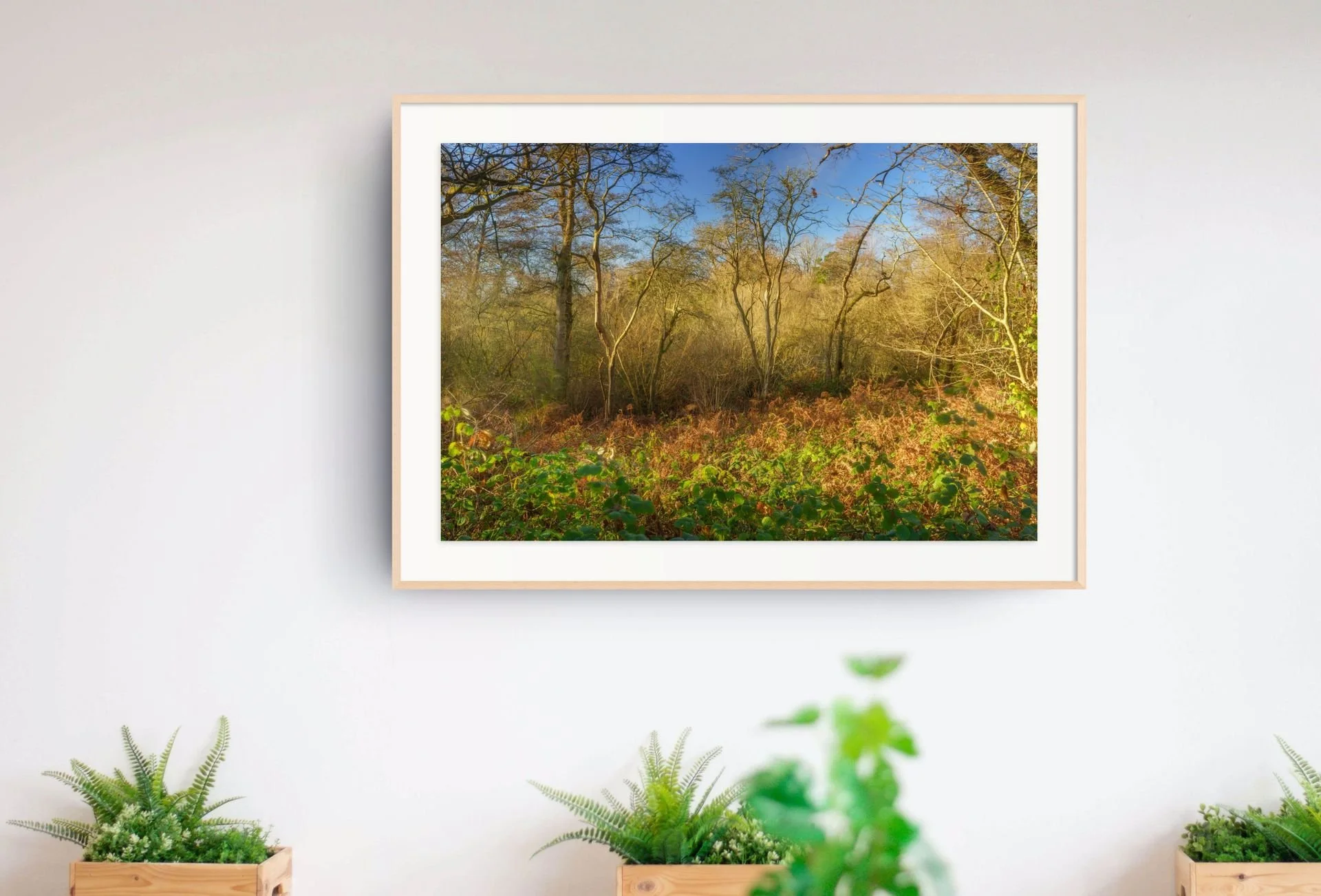 squarespace _ti22196-3-edit-2-2-medium.jpg