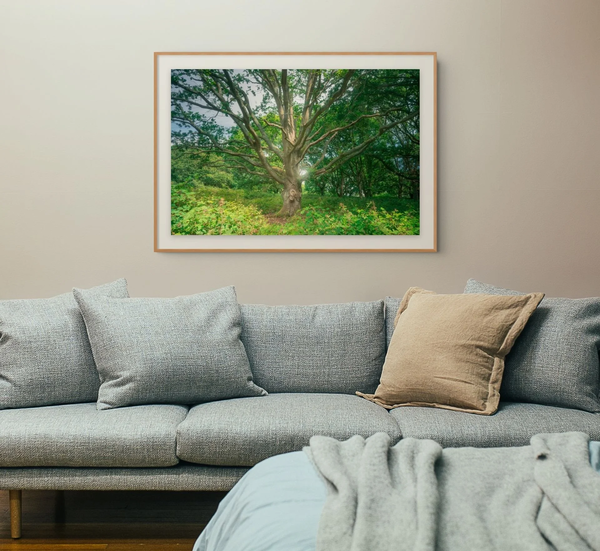 squarespace _tii3018-edit-medium.jpg