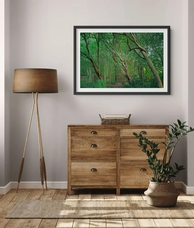 squarespace final open print 1-small.jpg